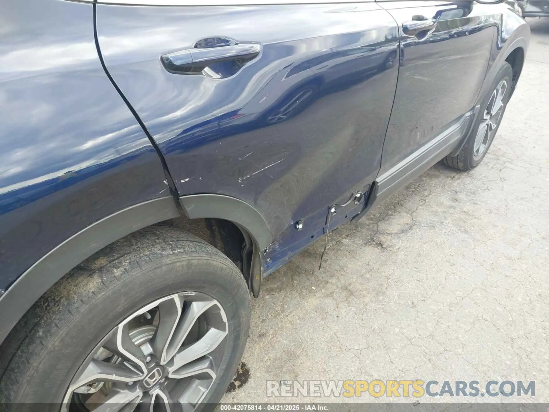 6 Photograph of a damaged car 5J6RW2H81LA000593 HONDA CR-V 2020