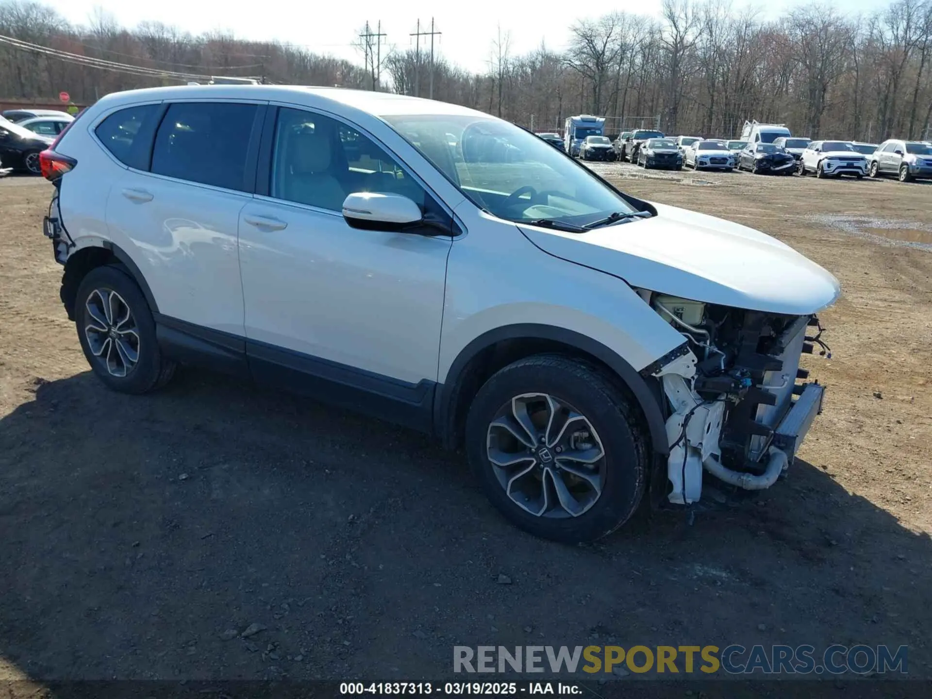 1 Photograph of a damaged car 5J6RW2H8XLA019966 HONDA CR-V 2020