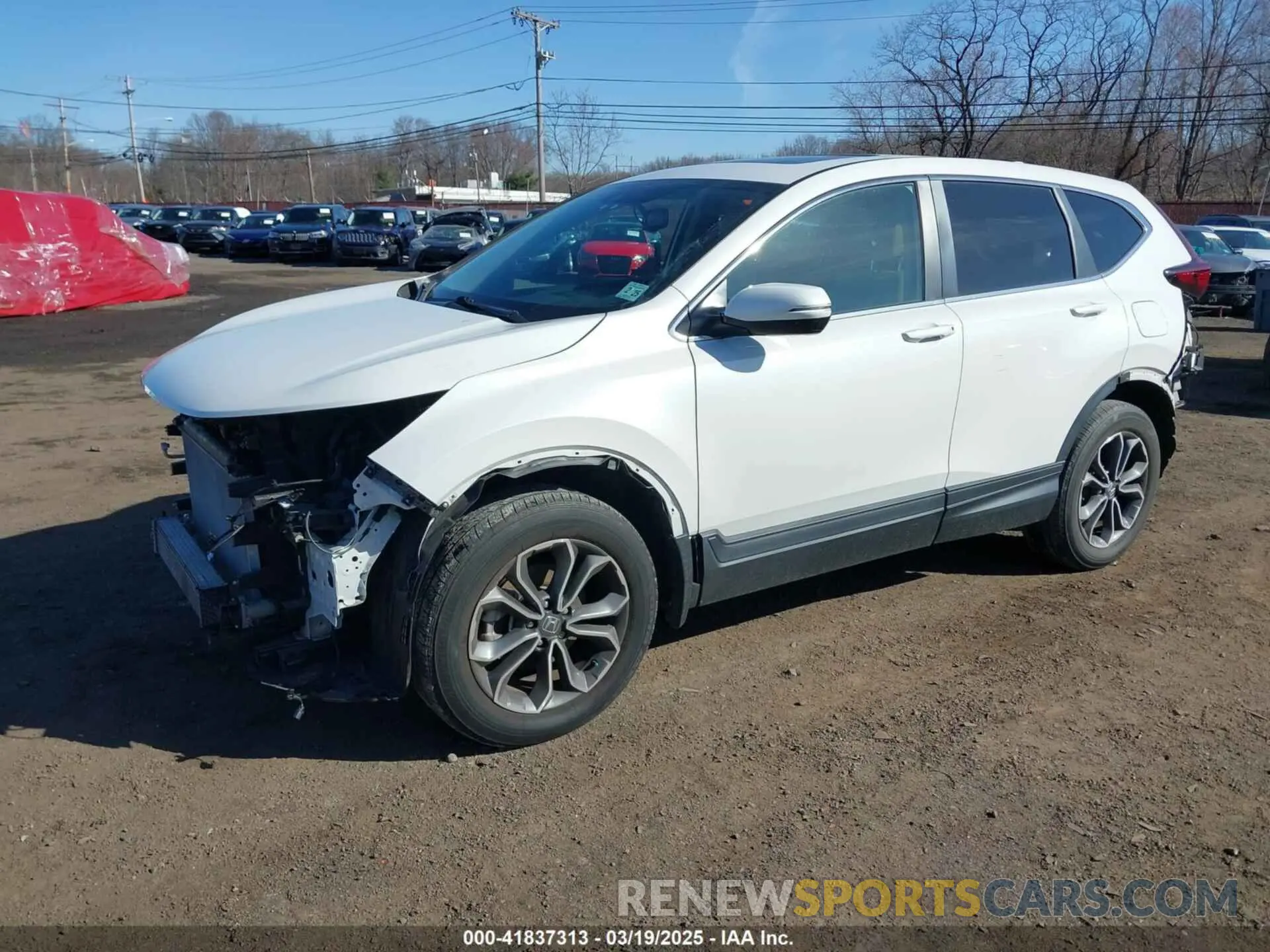 2 Photograph of a damaged car 5J6RW2H8XLA019966 HONDA CR-V 2020