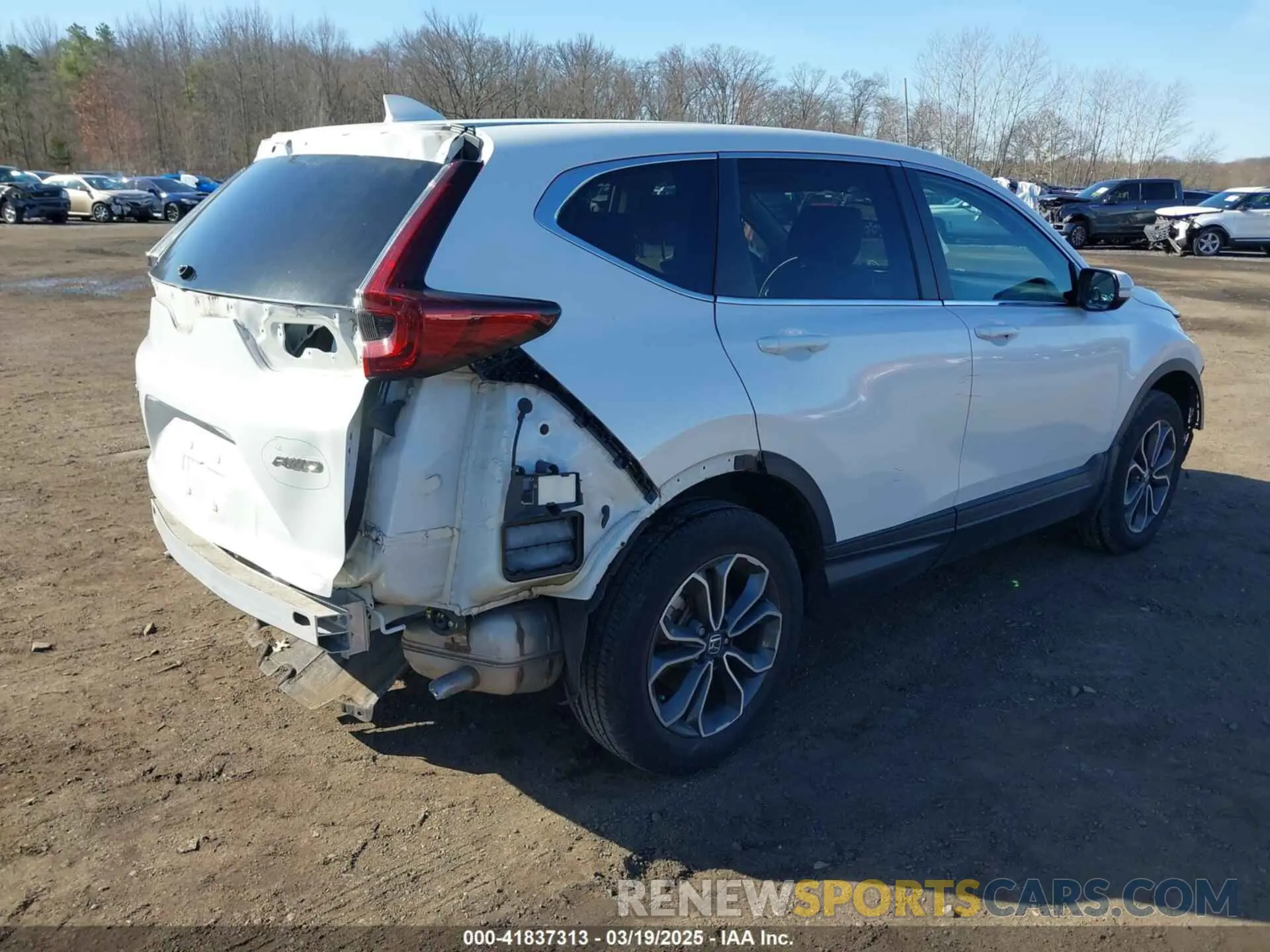 4 Photograph of a damaged car 5J6RW2H8XLA019966 HONDA CR-V 2020
