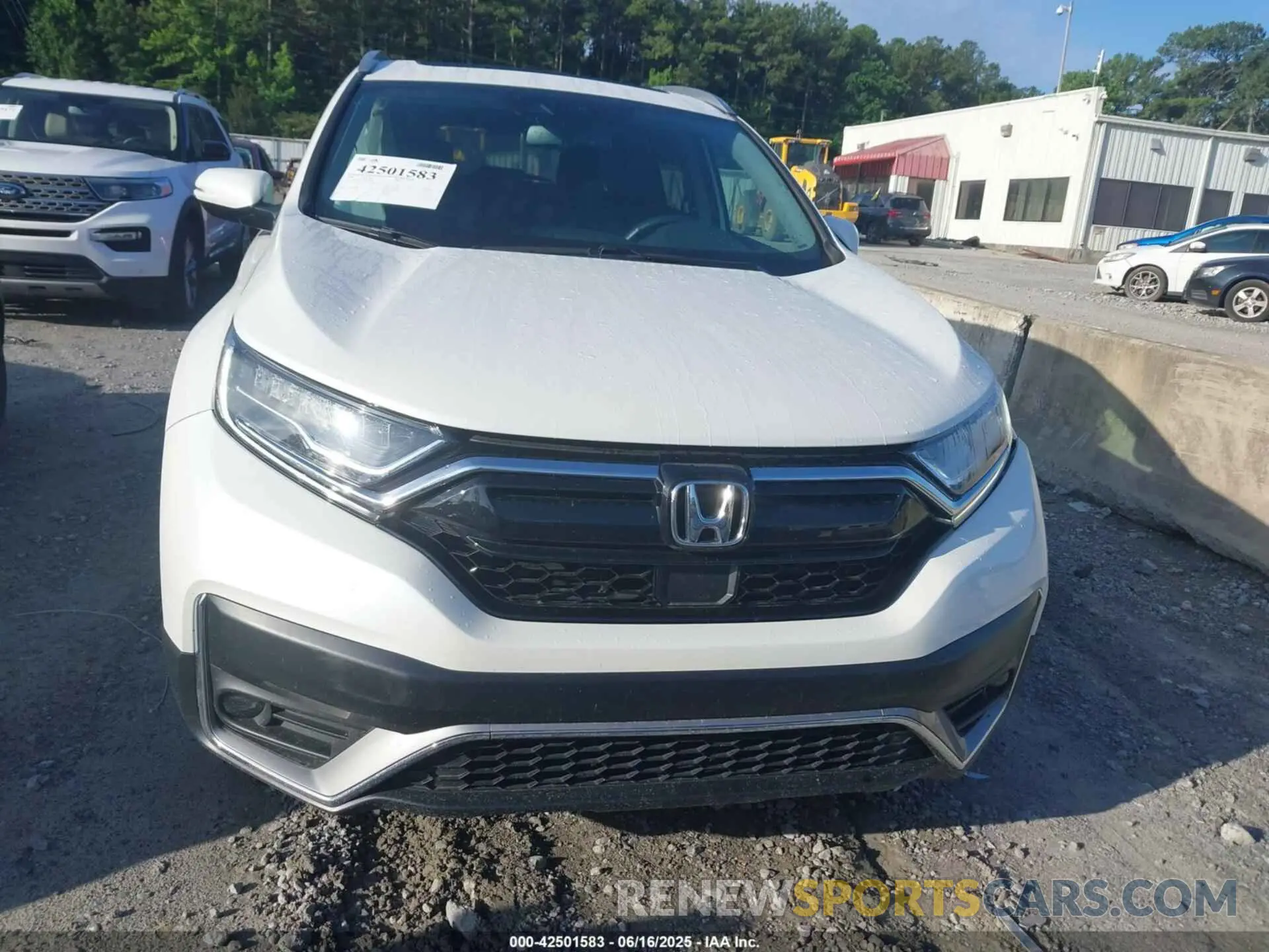 12 Photograph of a damaged car 5J6RW2H95LL002859 HONDA CR-V 2020