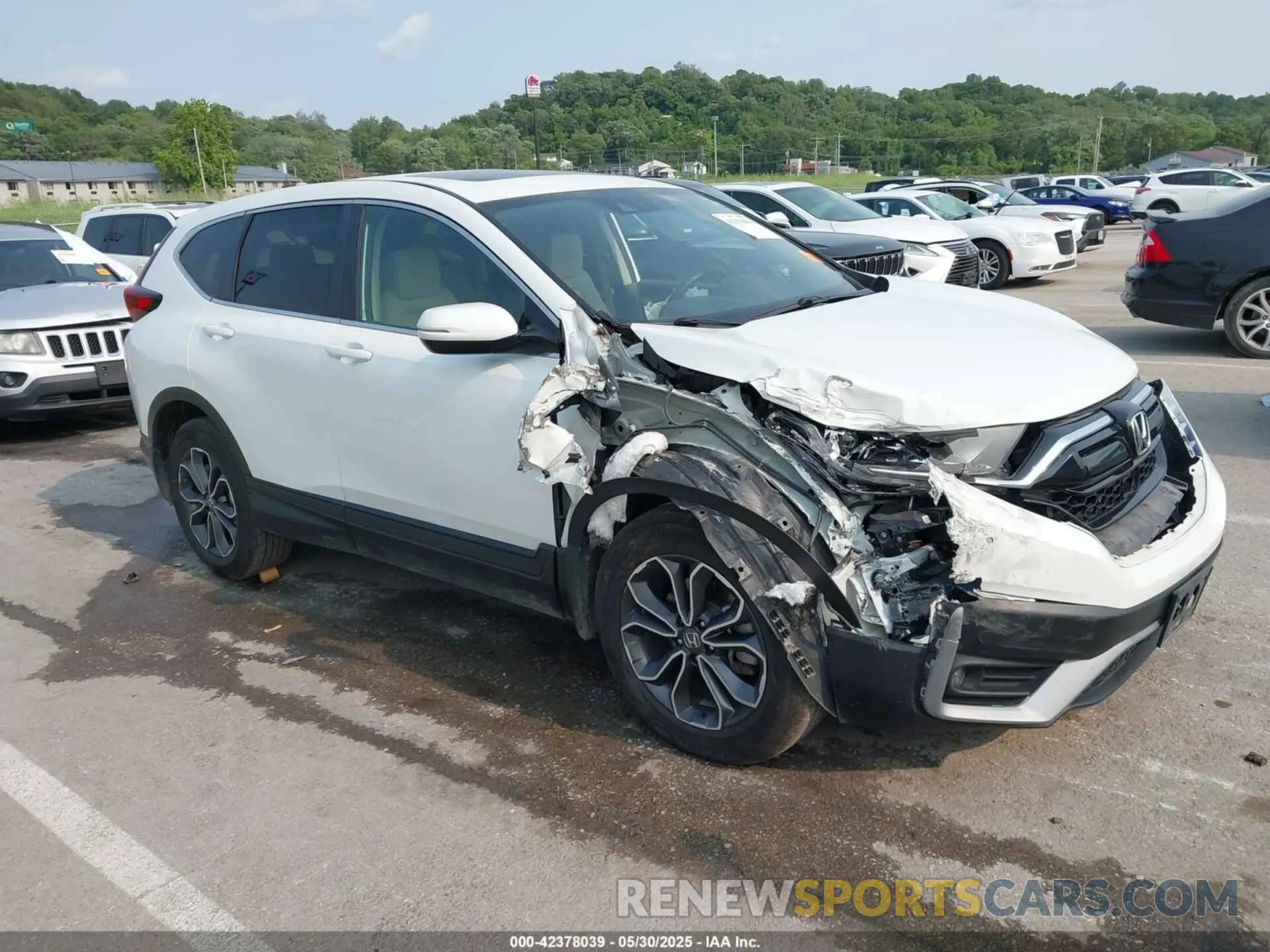 1 Photograph of a damaged car 7FARW2H59LE022784 HONDA CR-V 2020