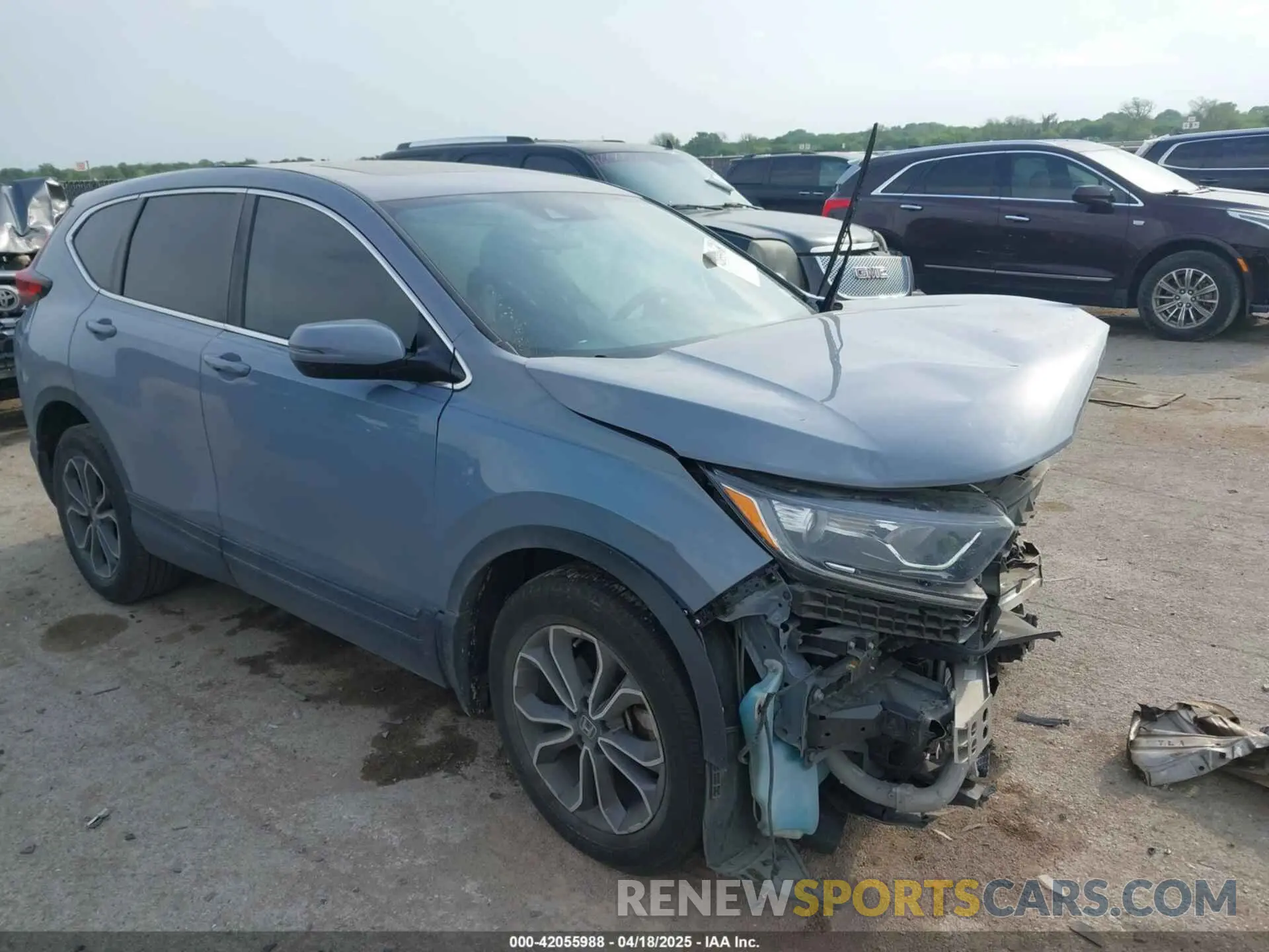 1 Photograph of a damaged car 2HKRW1H5XMH404590 HONDA CR-V 2021
