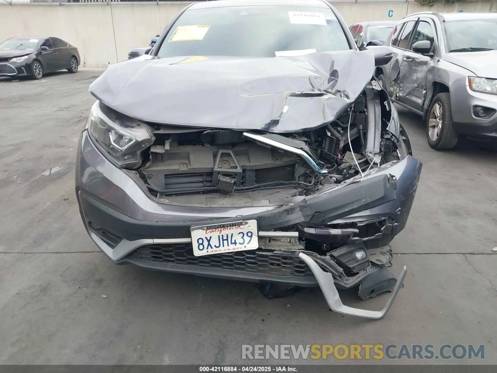 12 Photograph of a damaged car 2HKRW1H87MH425164 HONDA CR-V 2021