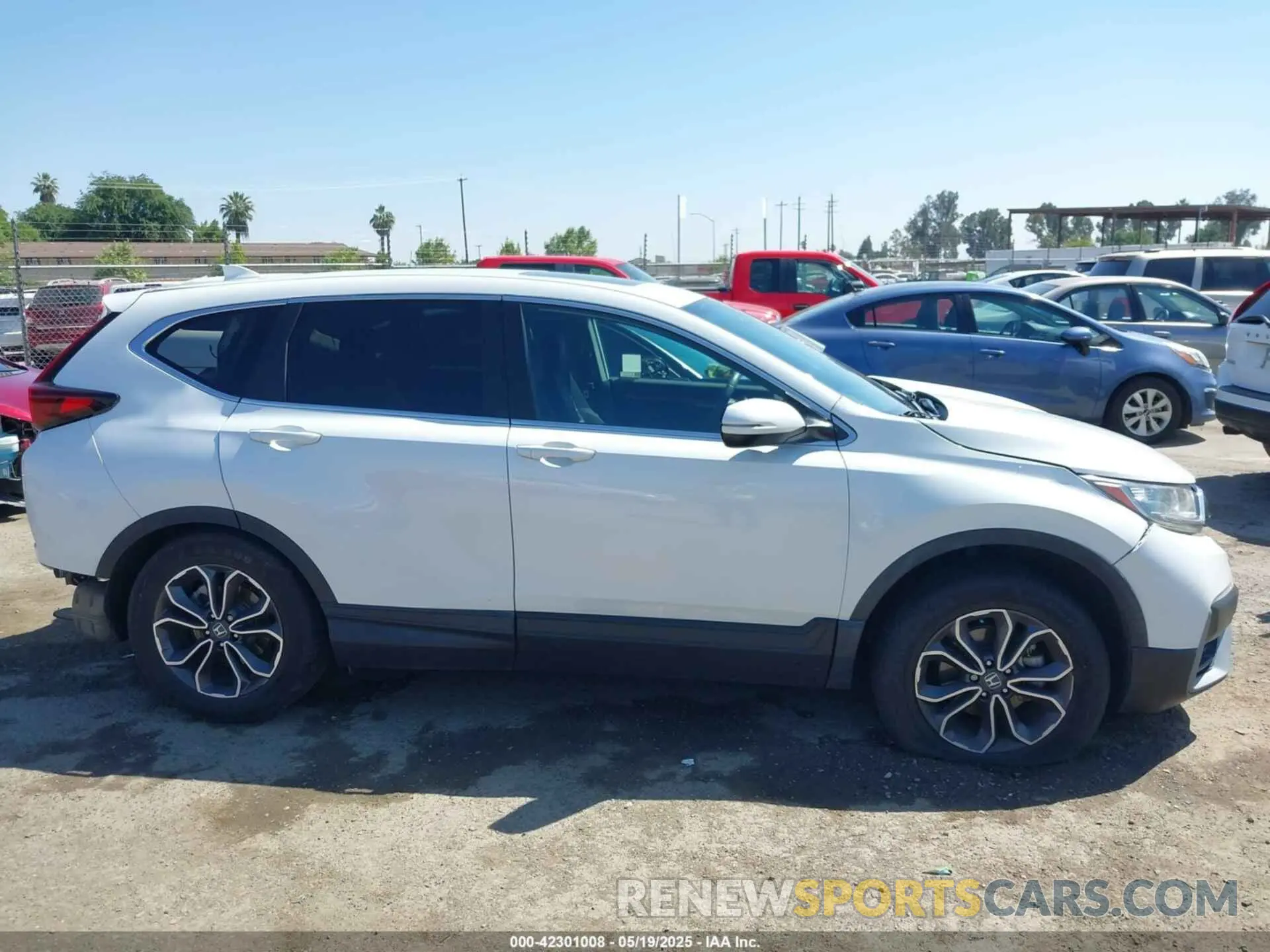 13 Photograph of a damaged car 2HKRW2H53MH649429 HONDA CR-V 2021