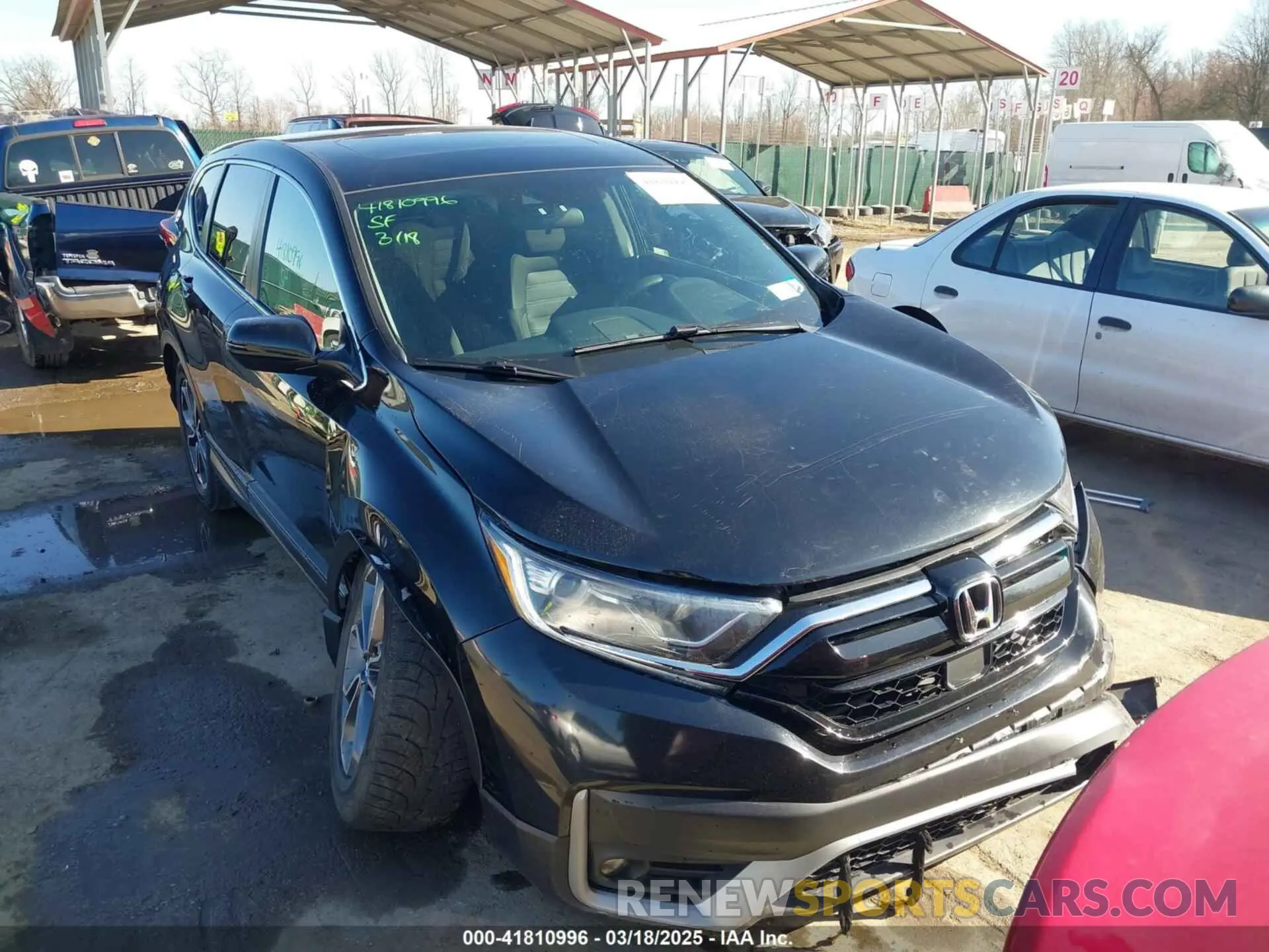 12 Photograph of a damaged car 2HKRW2H54MH638973 HONDA CR-V 2021