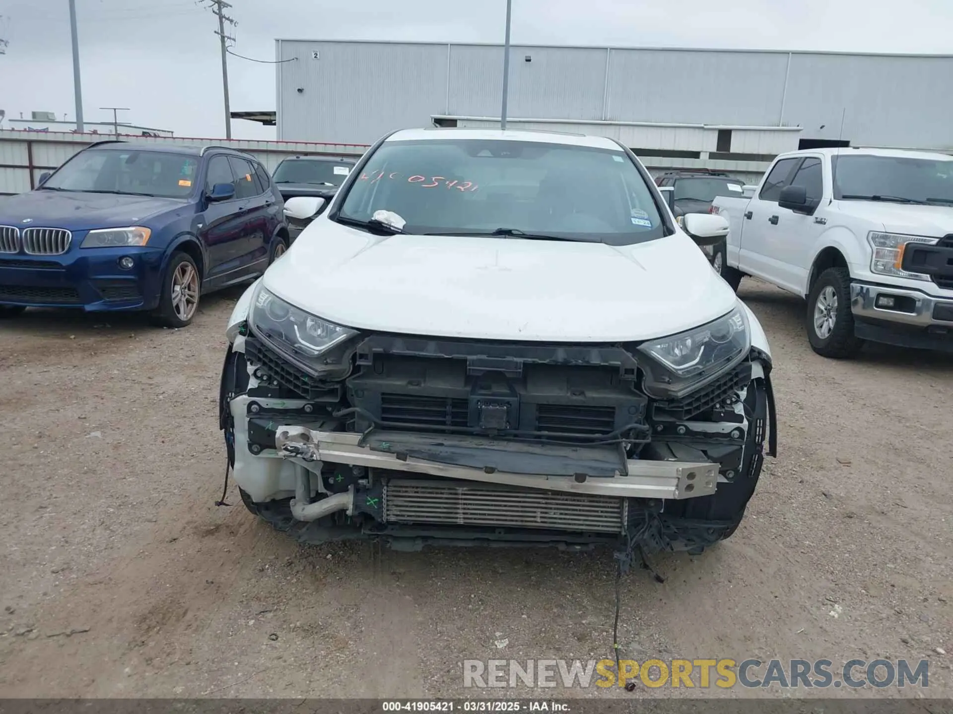 12 Photograph of a damaged car 5J6RW1H54MA005370 HONDA CR-V 2021