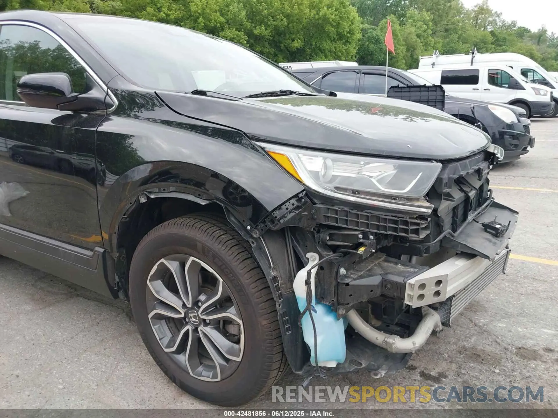 19 Photograph of a damaged car 5J6RW2H50ML004467 HONDA CR-V 2021