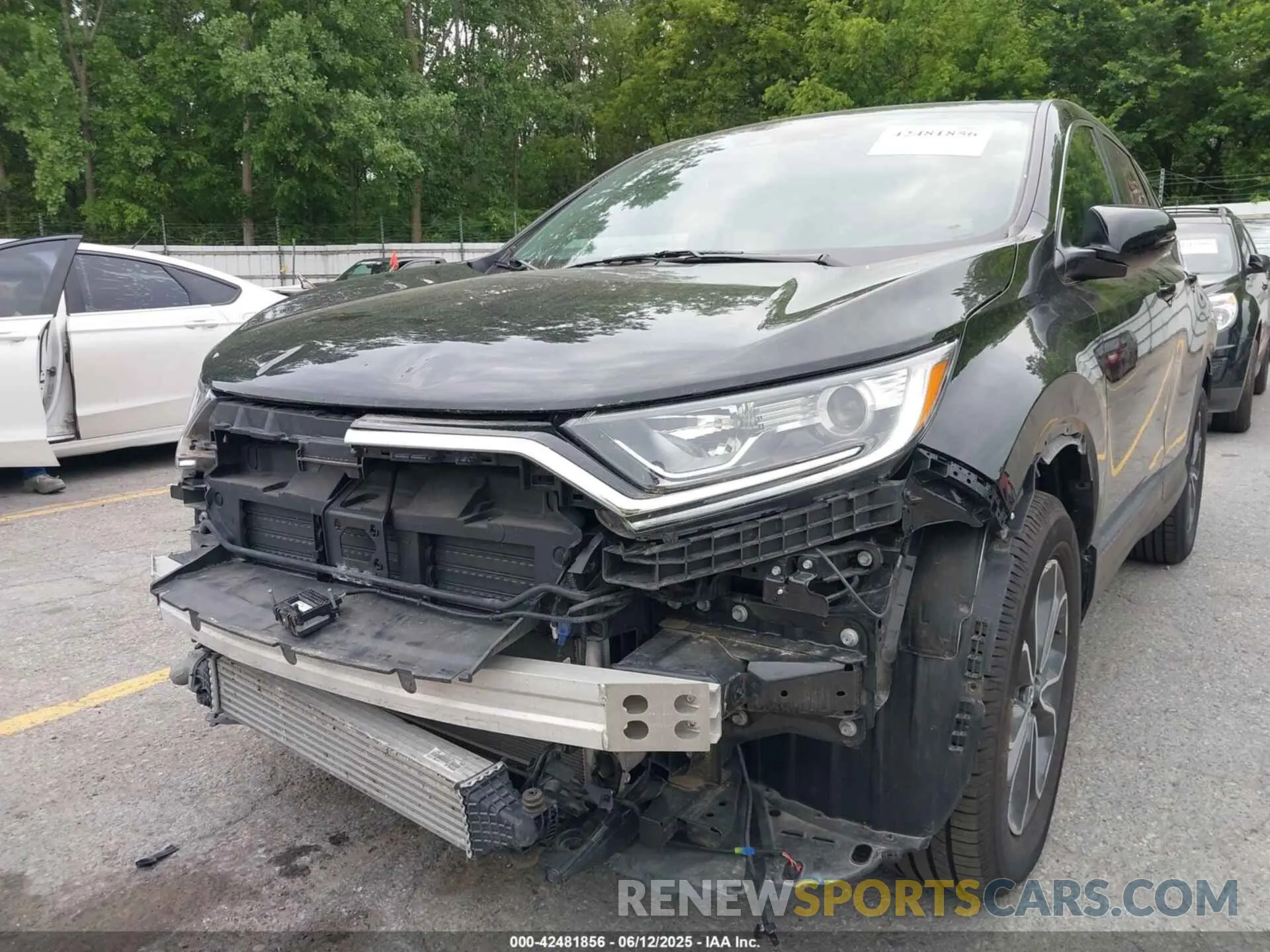6 Photograph of a damaged car 5J6RW2H50ML004467 HONDA CR-V 2021