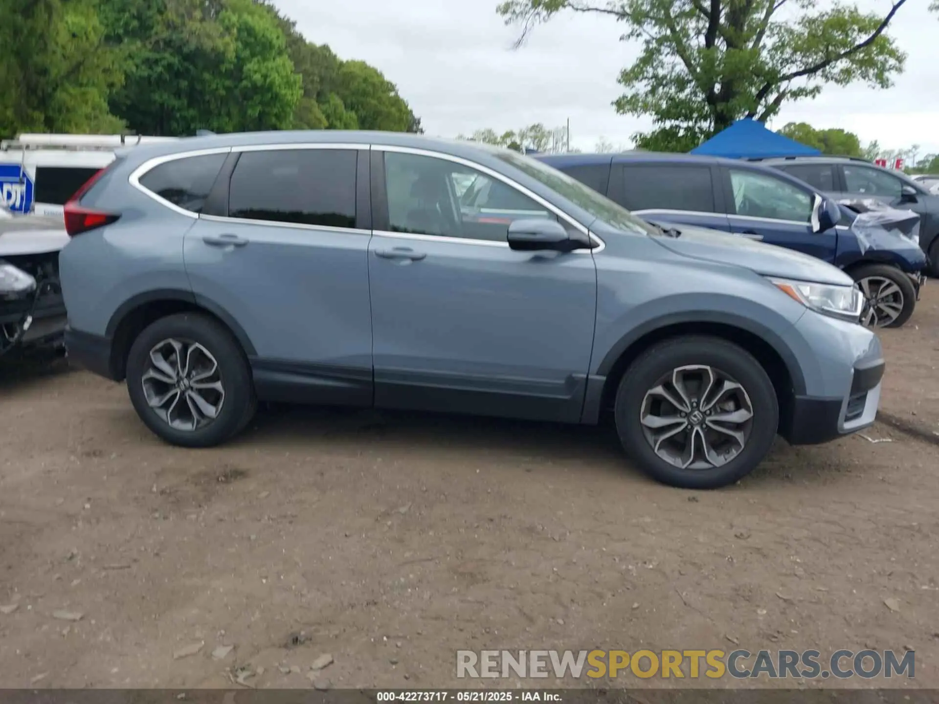 13 Photograph of a damaged car 5J6RW2H54ML004200 HONDA CR-V 2021