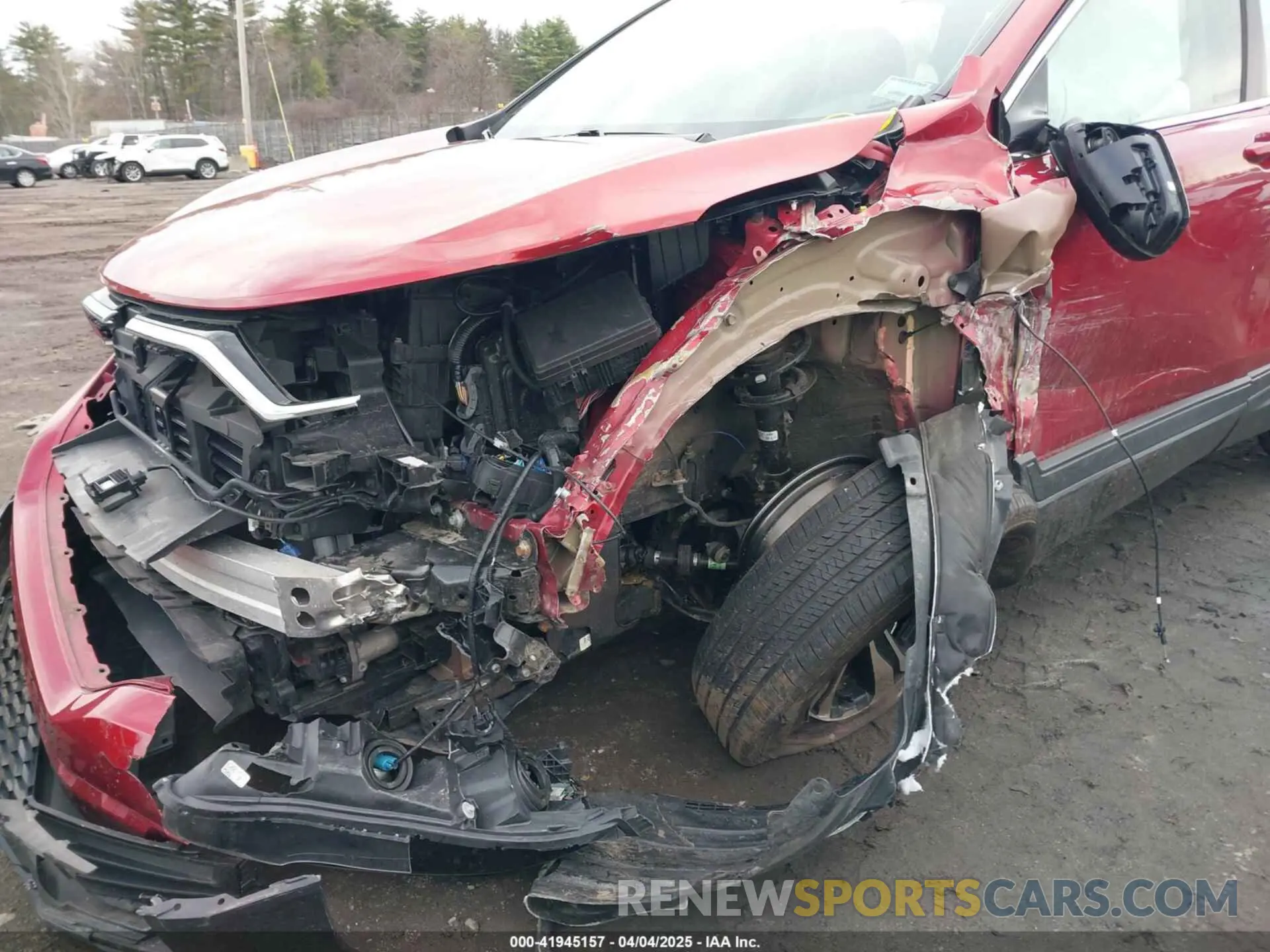 6 Photograph of a damaged car 5J6RW2H79ML026209 HONDA CR-V 2021
