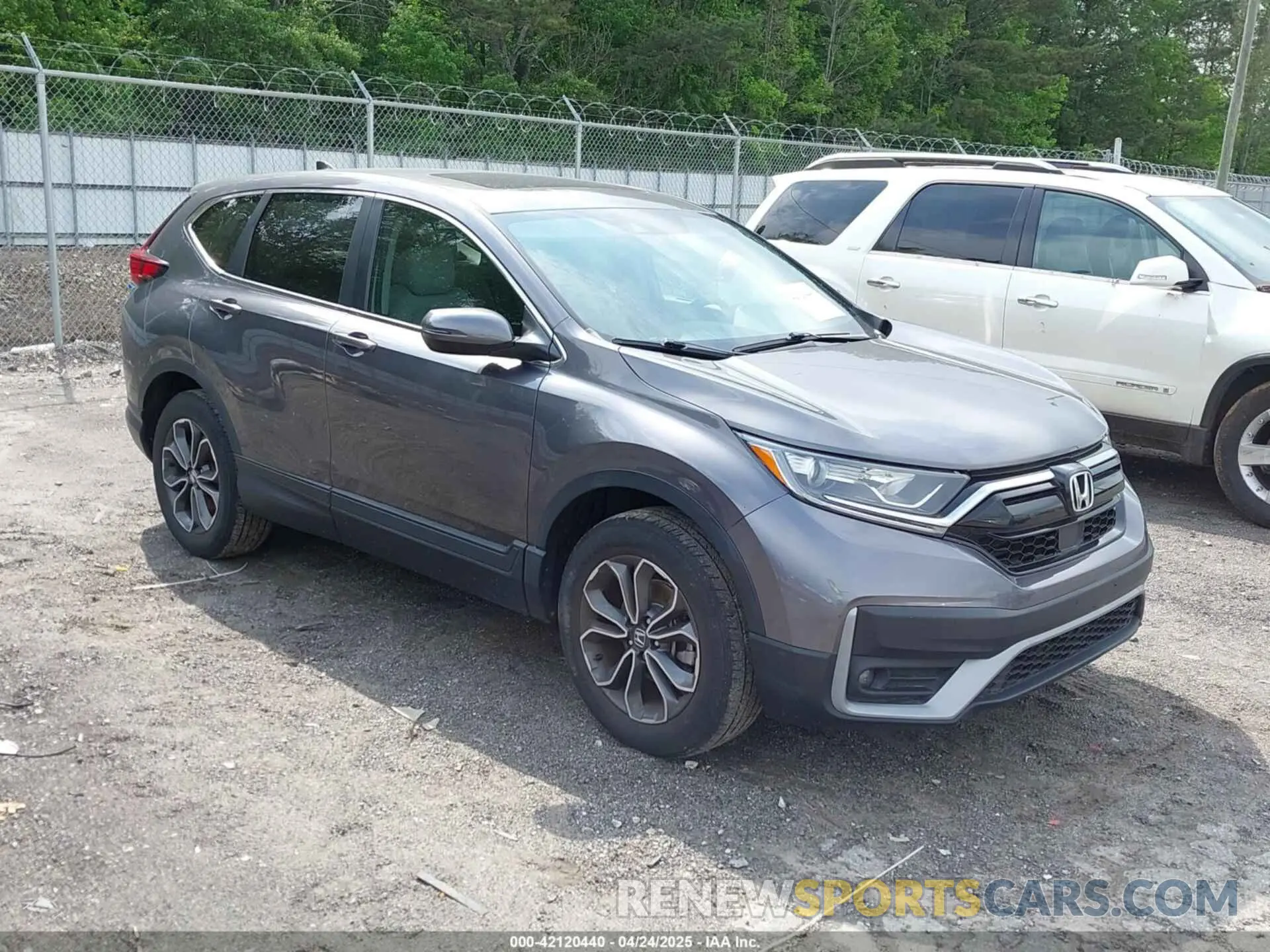 1 Photograph of a damaged car 5J6RW2H82MA011250 HONDA CR-V 2021