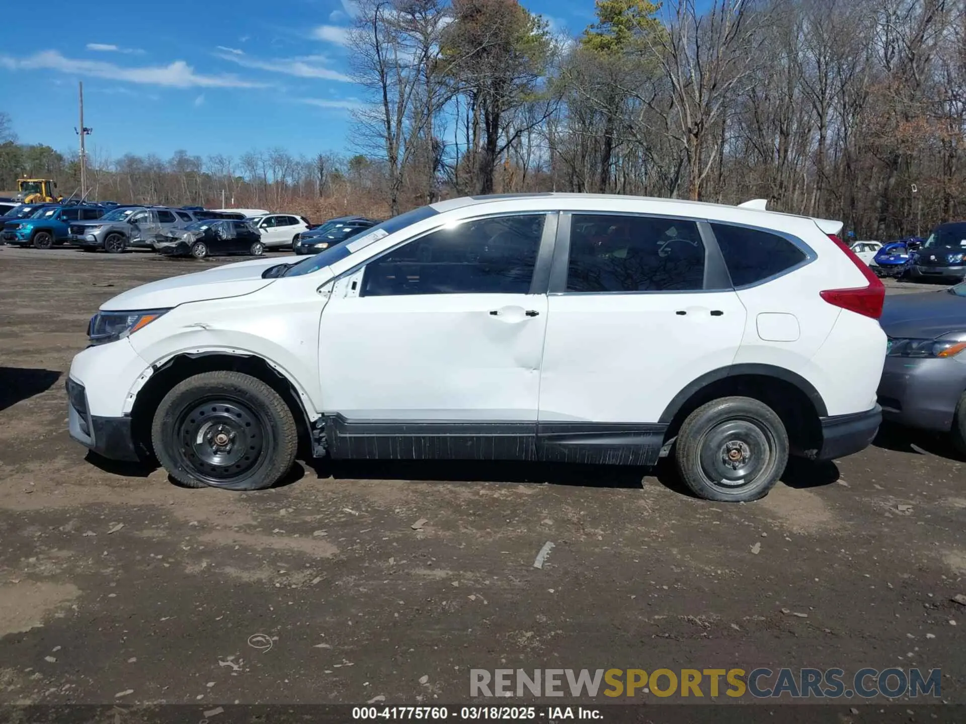14 Photograph of a damaged car 5J6RW2H83MA011659 HONDA CR-V 2021
