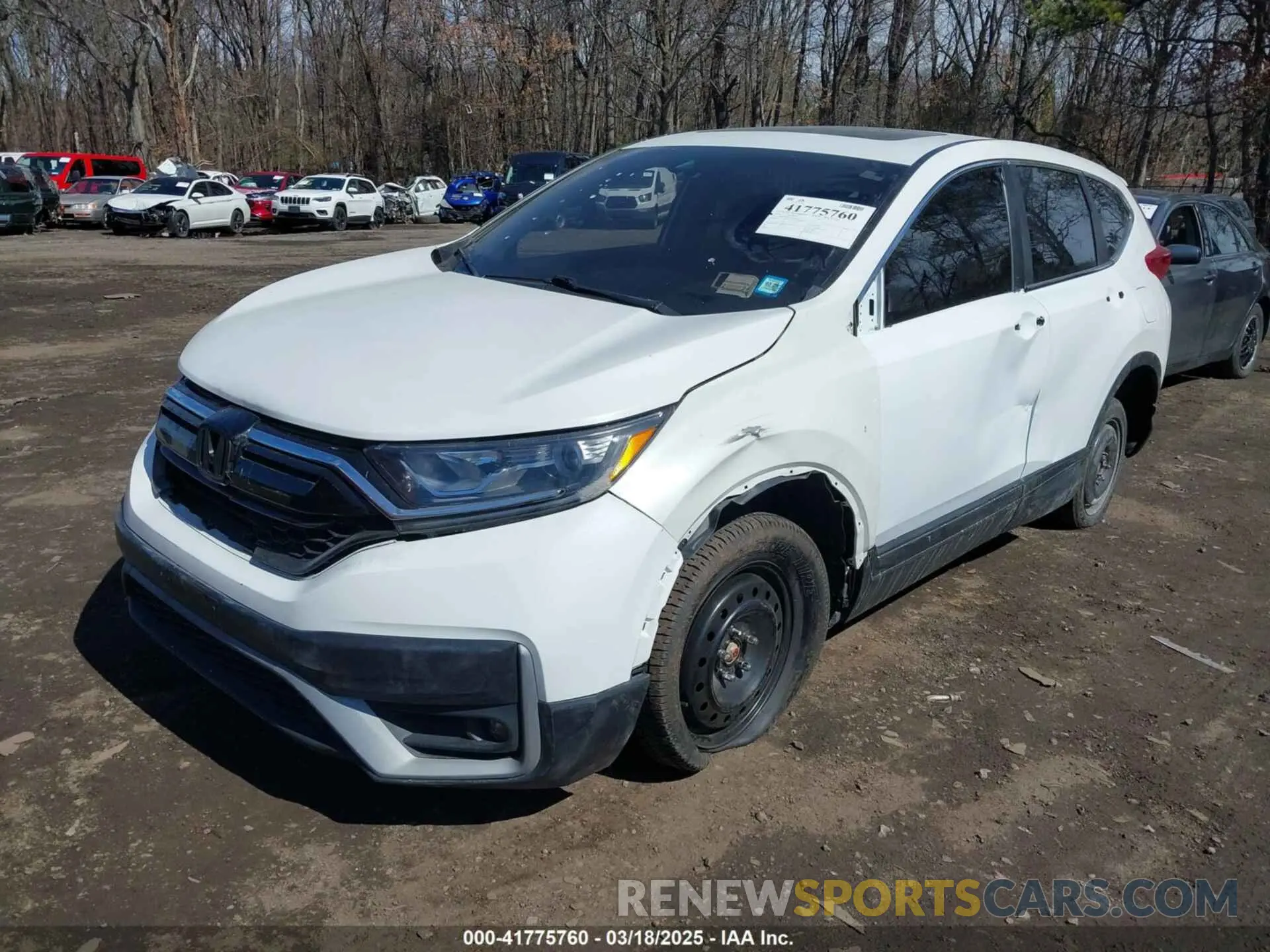 2 Photograph of a damaged car 5J6RW2H83MA011659 HONDA CR-V 2021
