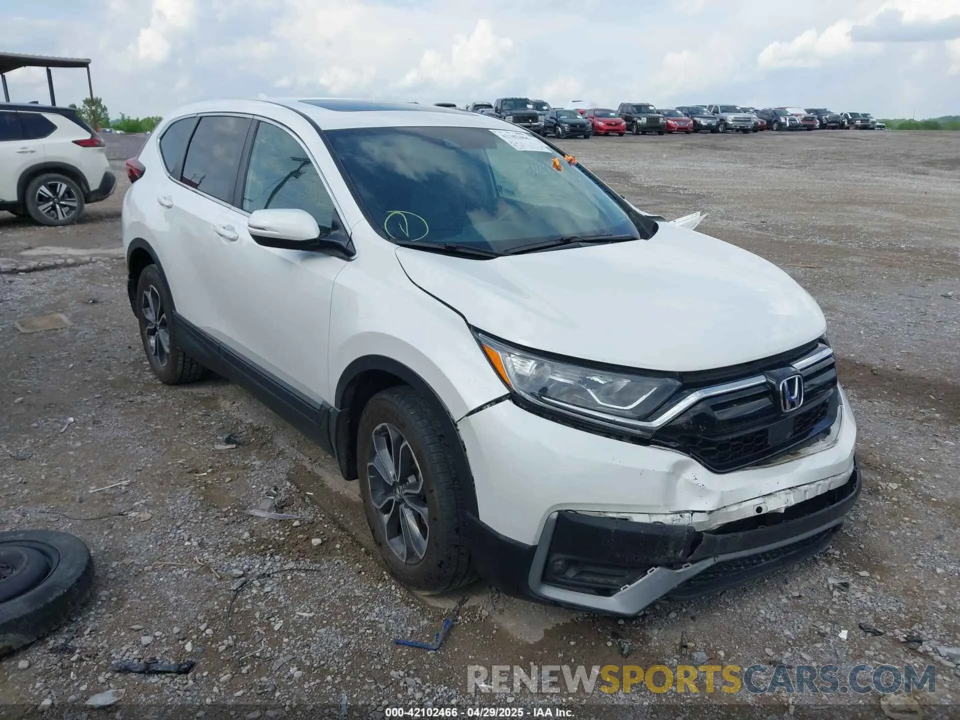 1 Photograph of a damaged car 5J6RW2H88ML010284 HONDA CR-V 2021