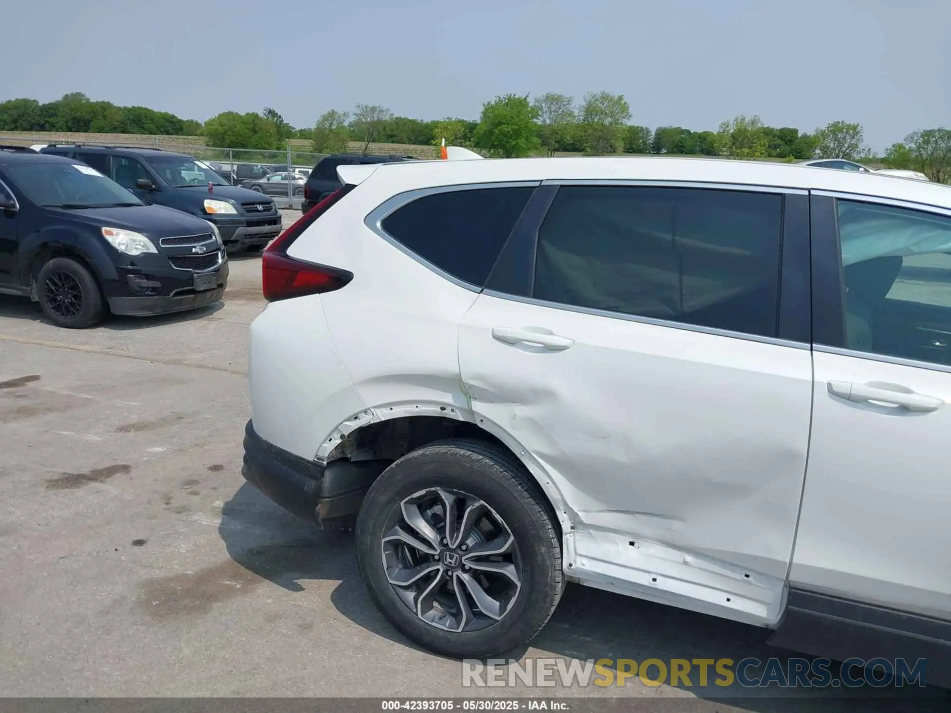 6 Photograph of a damaged car 5J6RW2H88ML020653 HONDA CR-V 2021