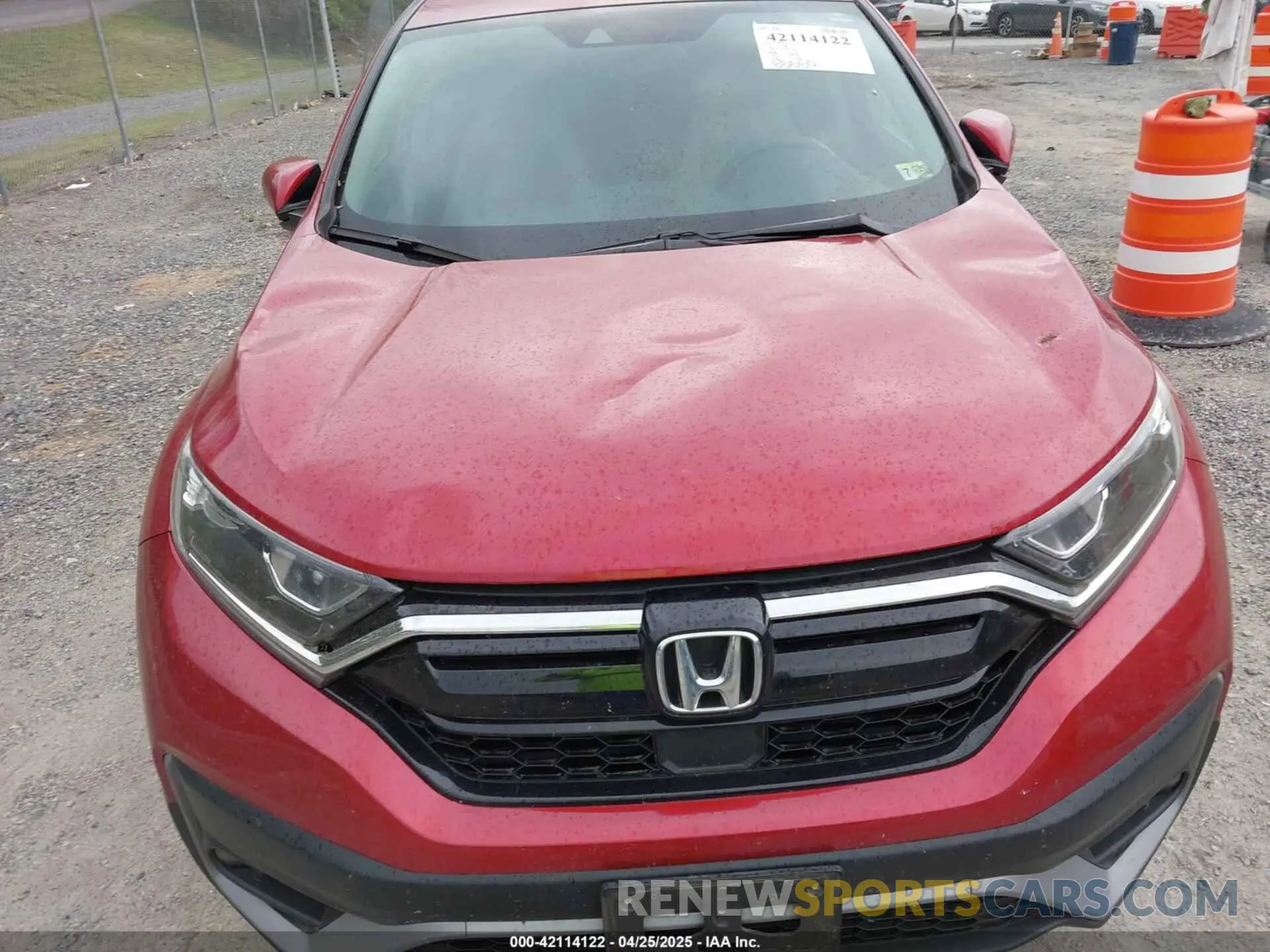 6 Photograph of a damaged car 5J6RW2H8XML022453 HONDA CR-V 2021