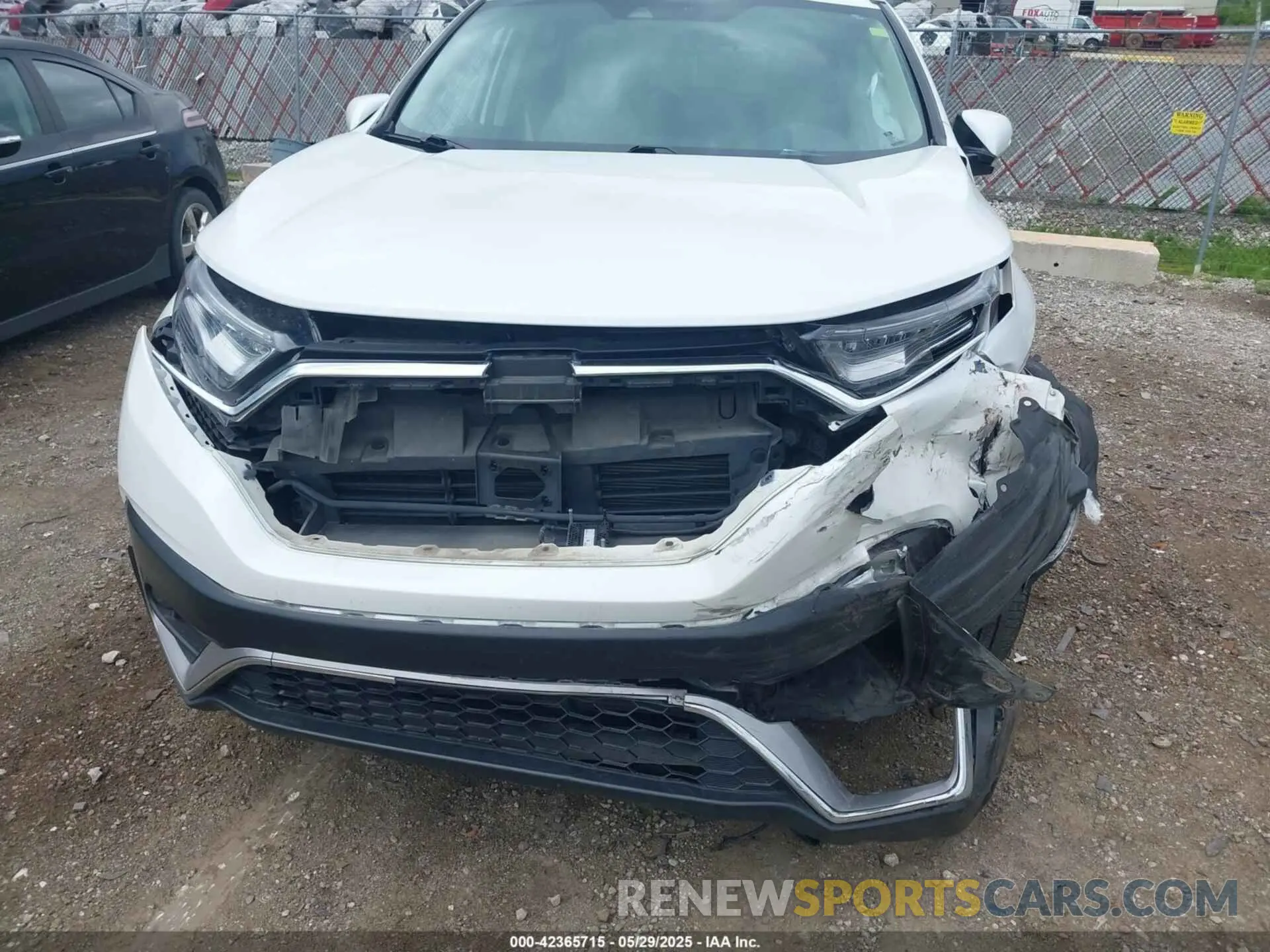 6 Photograph of a damaged car 5J6RW2H93ML012016 HONDA CR-V 2021