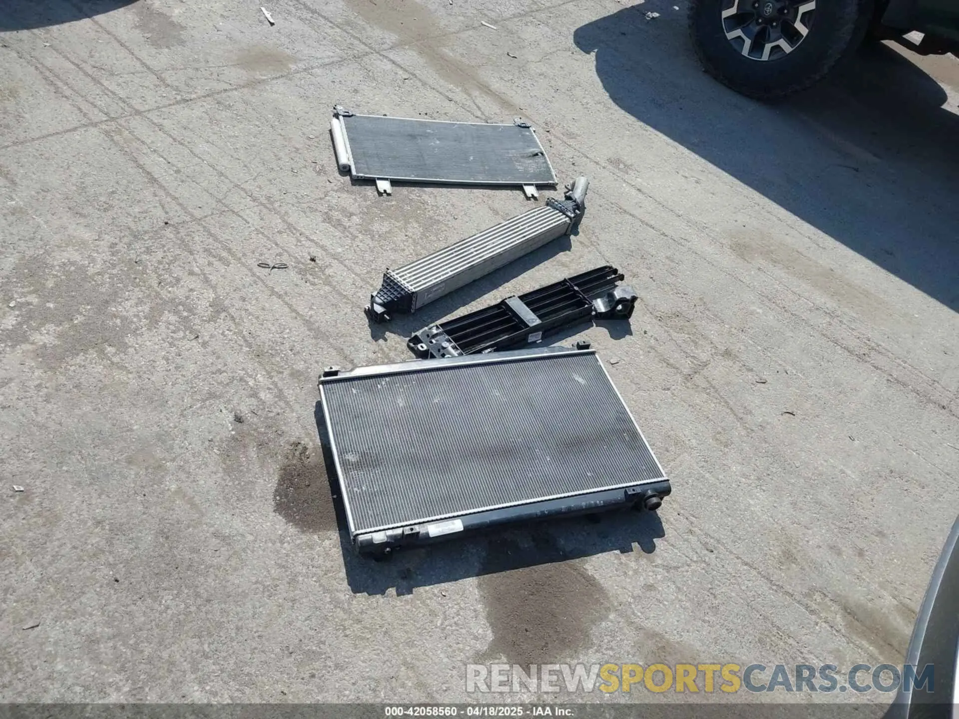 12 Photograph of a damaged car 5J6RW2H94ML013546 HONDA CR-V 2021