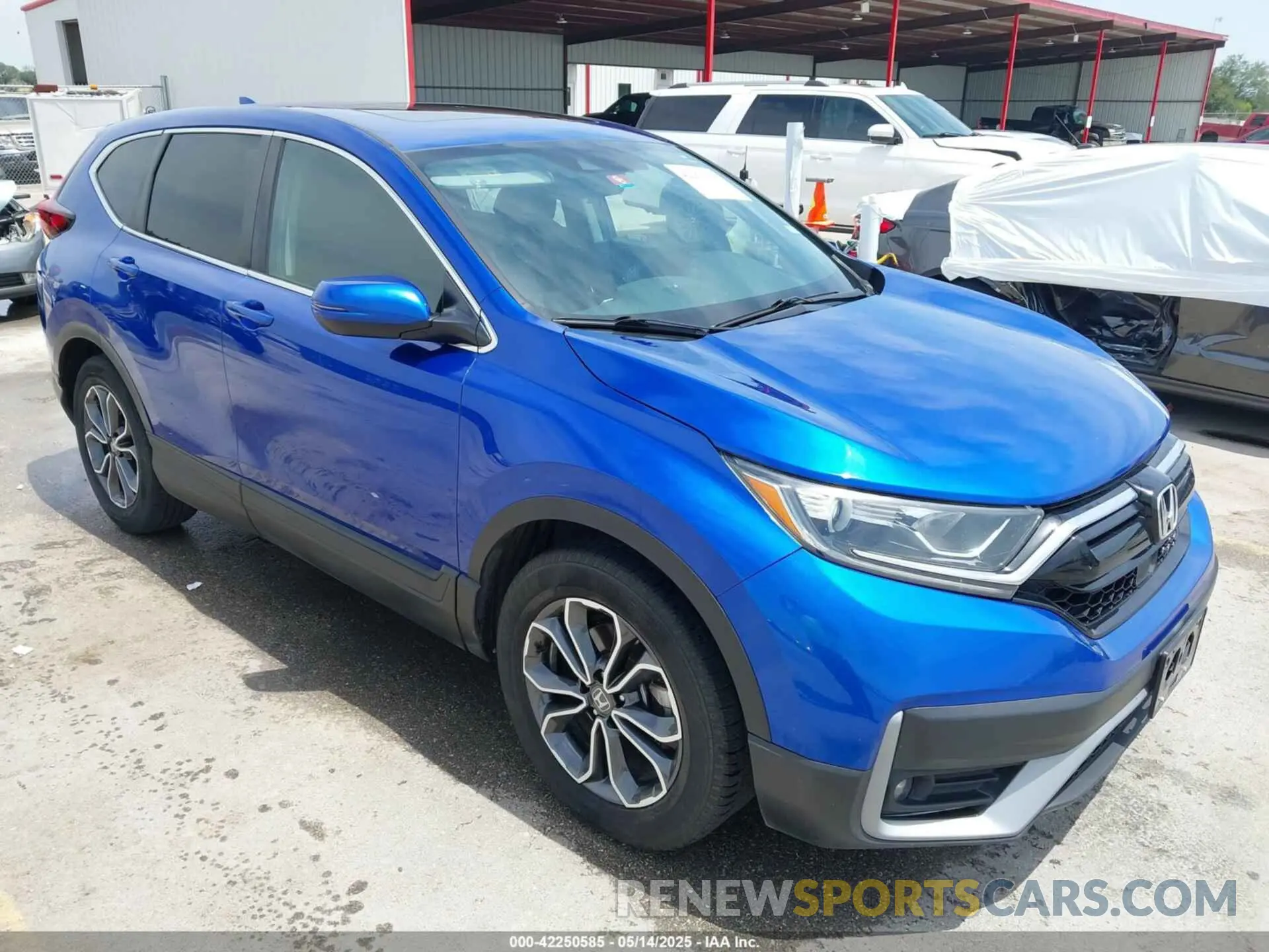 1 Photograph of a damaged car 7FARW1H58ME012839 HONDA CR-V 2021