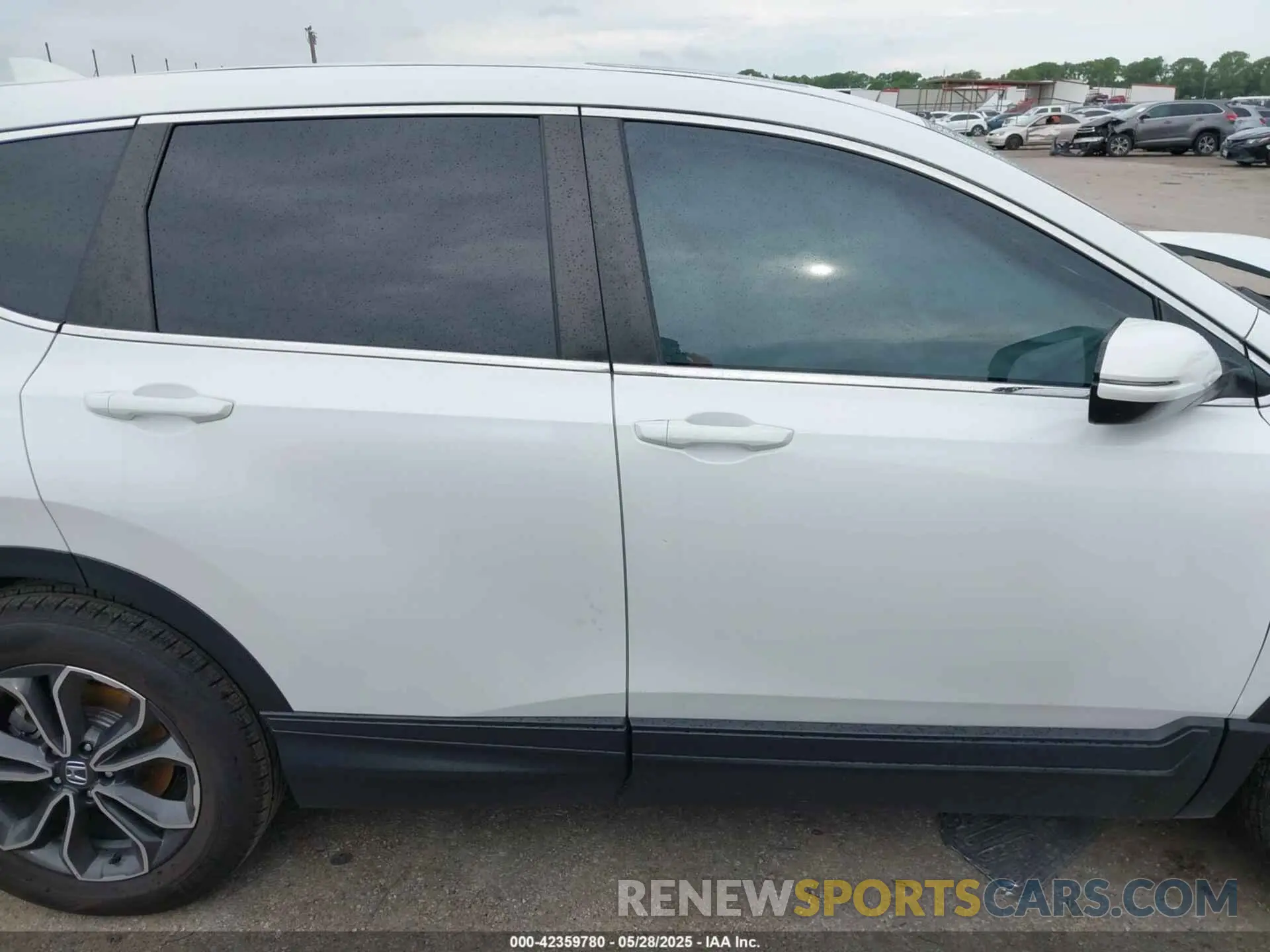 14 Photograph of a damaged car 2HKRW1H56NH400456 HONDA CR-V 2022