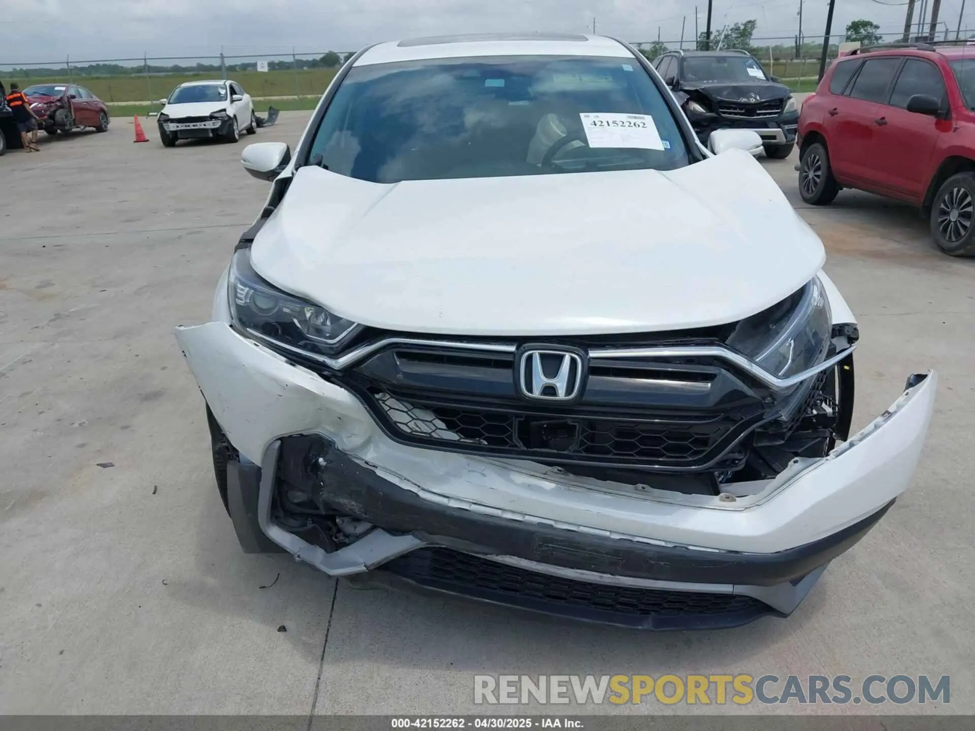 12 Photograph of a damaged car 2HKRW1H89NH409131 HONDA CR-V 2022
