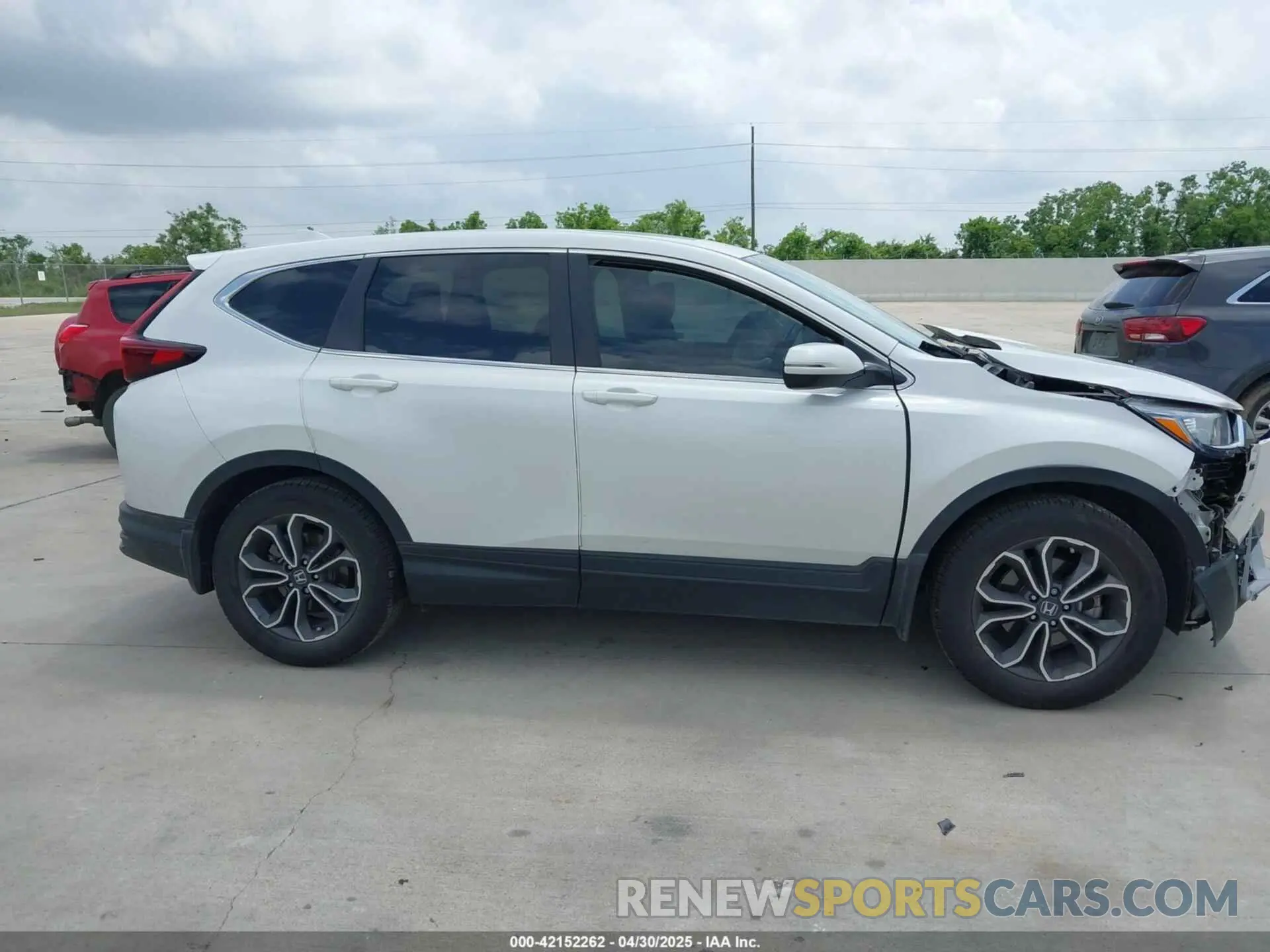 13 Photograph of a damaged car 2HKRW1H89NH409131 HONDA CR-V 2022