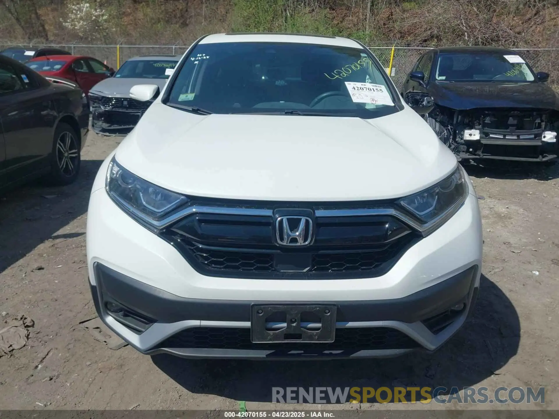 12 Photograph of a damaged car 2HKRW2H55NH659316 HONDA CR-V 2022