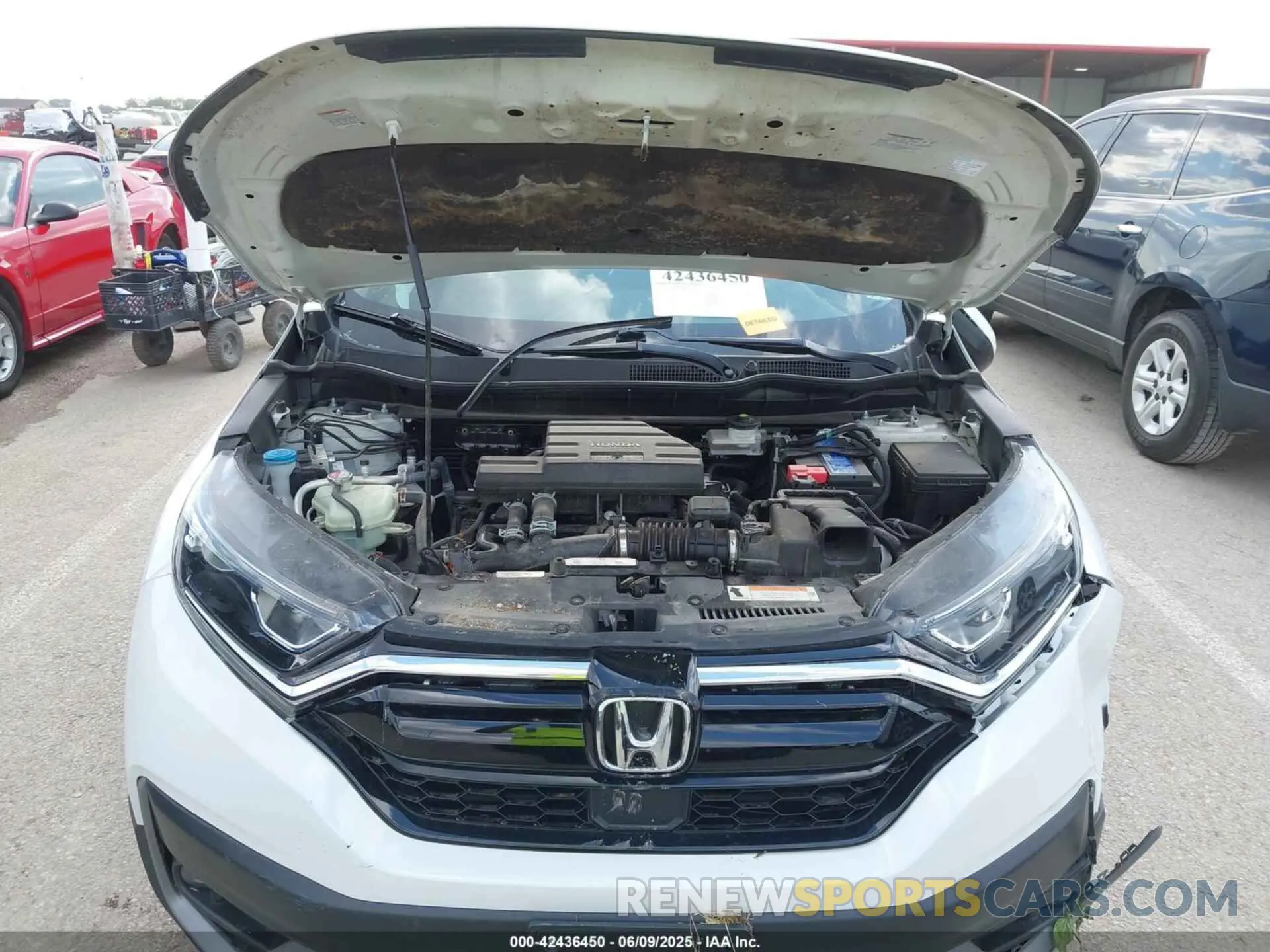10 Photograph of a damaged car 2HKRW2H57NH660368 HONDA CR-V 2022
