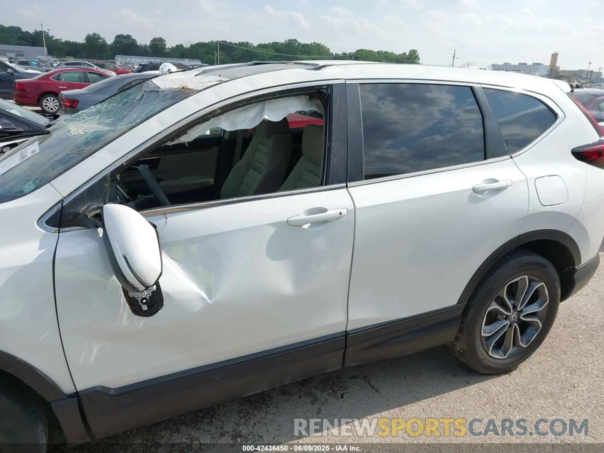 12 Photograph of a damaged car 2HKRW2H57NH660368 HONDA CR-V 2022