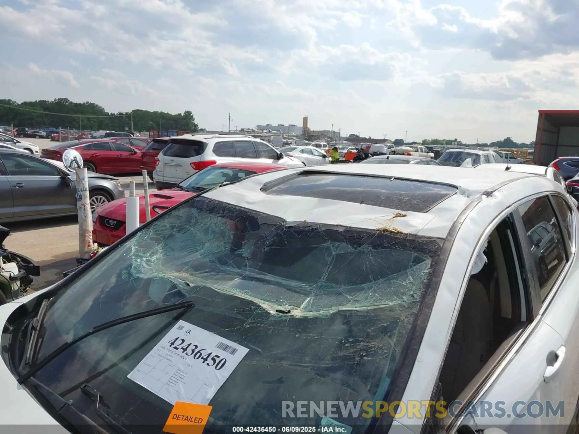 6 Photograph of a damaged car 2HKRW2H57NH660368 HONDA CR-V 2022