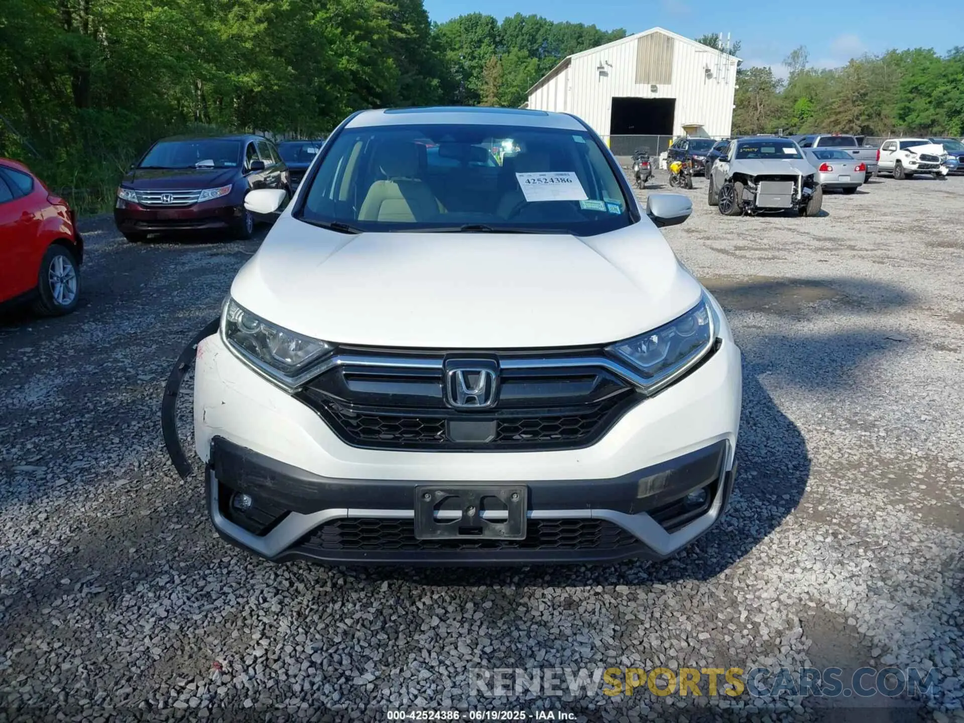 12 Photograph of a damaged car 2HKRW2H83NH604485 HONDA CR-V 2022
