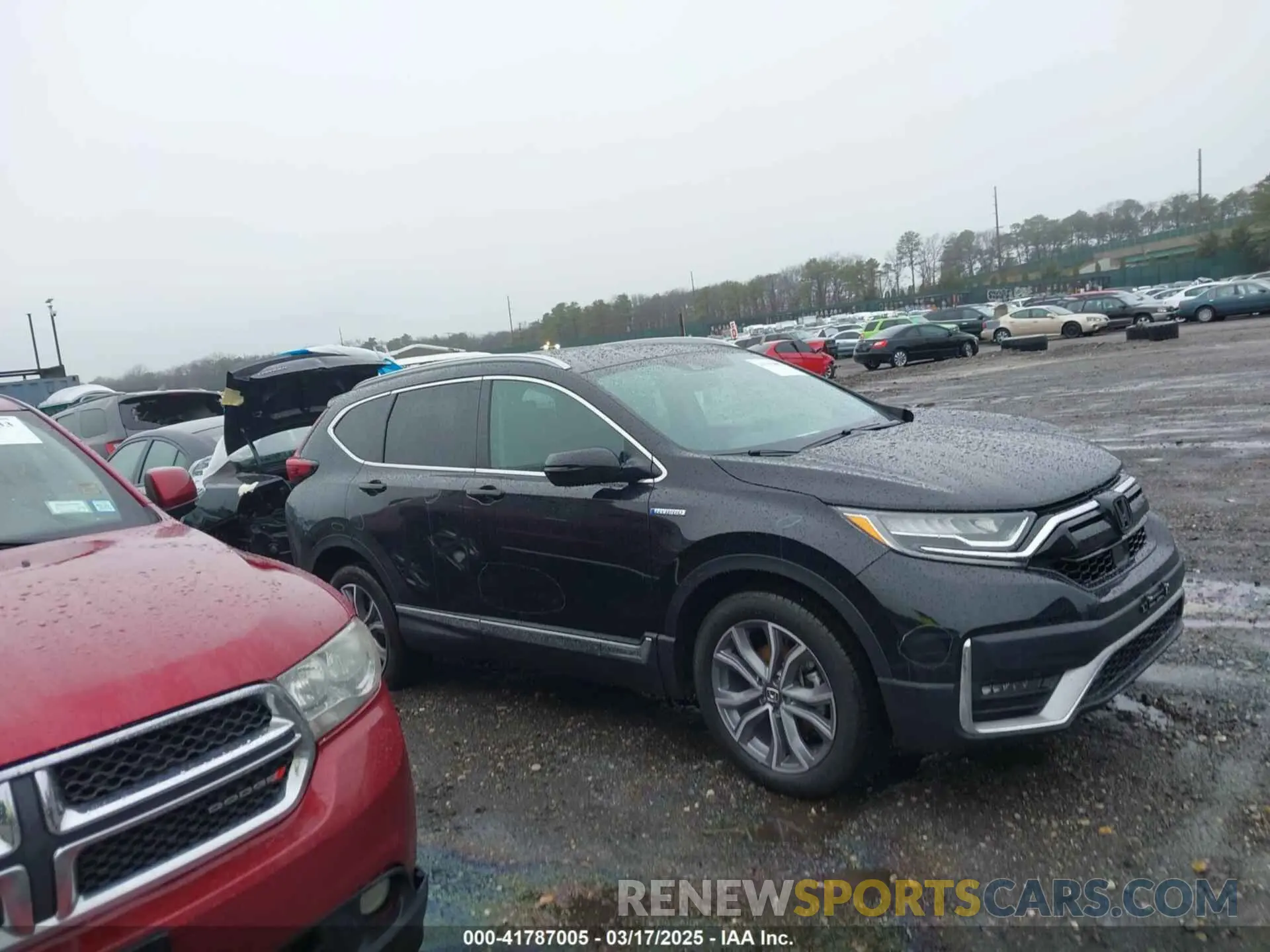 13 Photograph of a damaged car 5J6RT6H90NL000178 HONDA CR-V 2022