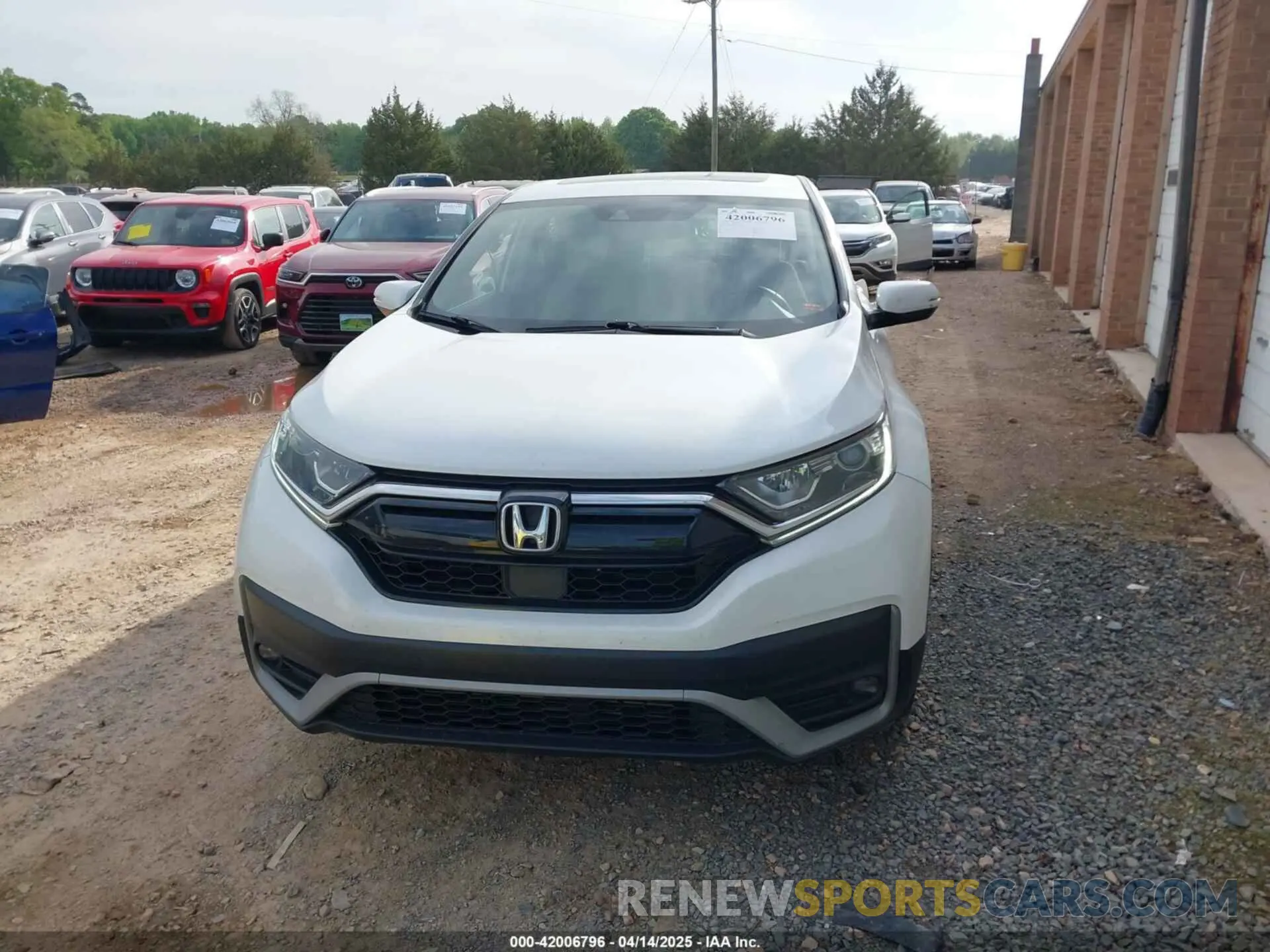 12 Photograph of a damaged car 5J6RW1H59NA011781 HONDA CR-V 2022