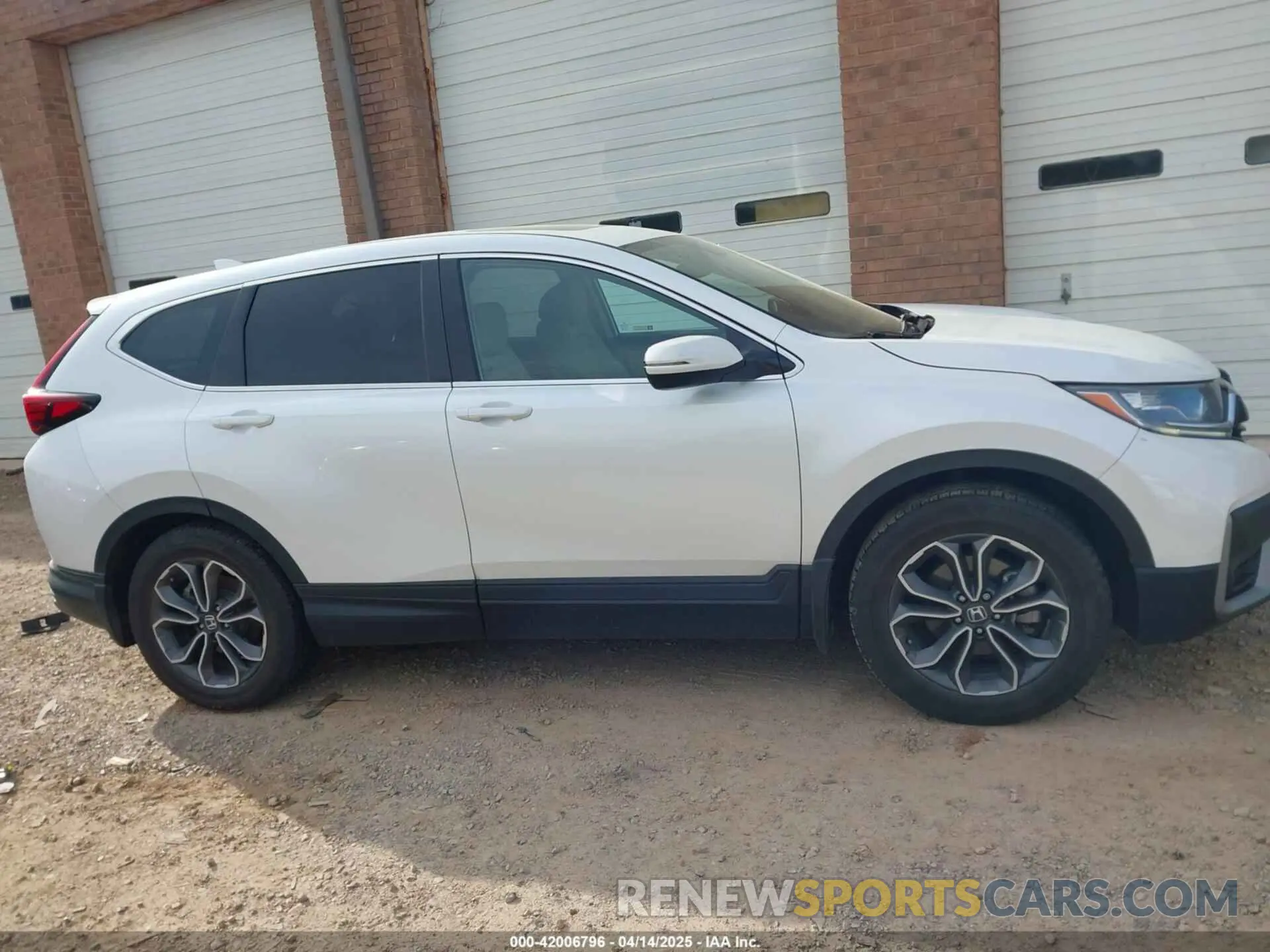 13 Photograph of a damaged car 5J6RW1H59NA011781 HONDA CR-V 2022