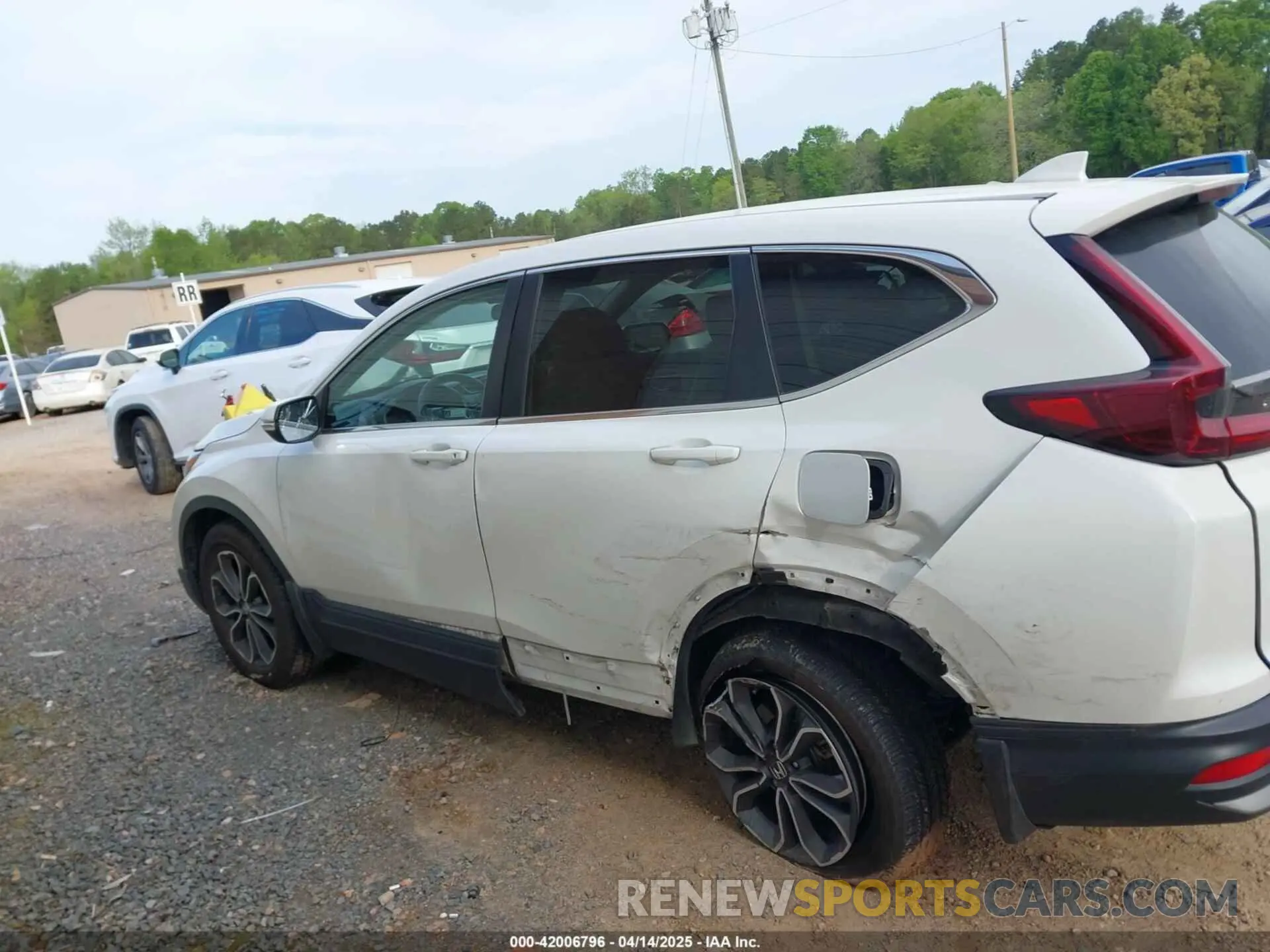 14 Photograph of a damaged car 5J6RW1H59NA011781 HONDA CR-V 2022