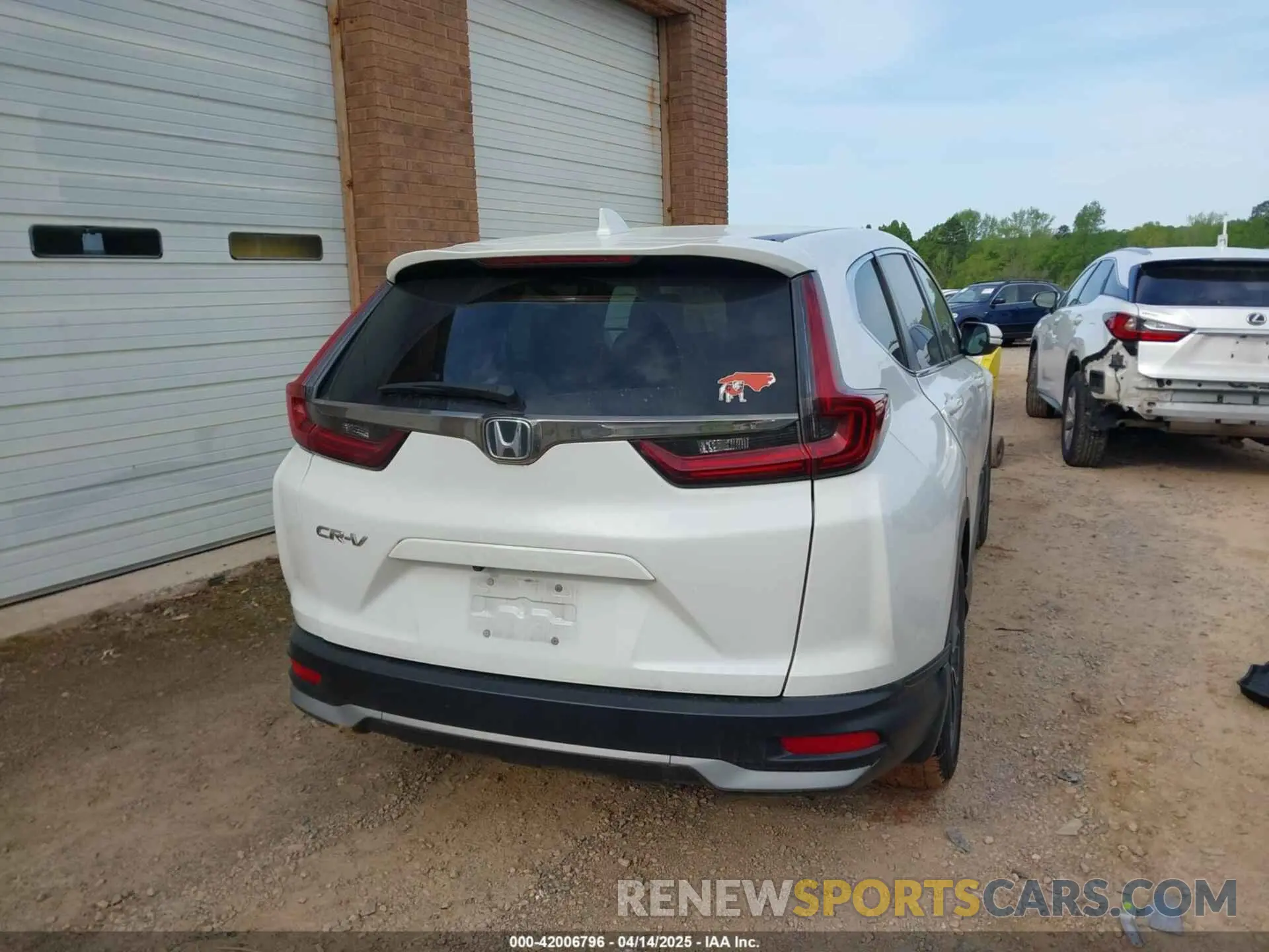 16 Photograph of a damaged car 5J6RW1H59NA011781 HONDA CR-V 2022