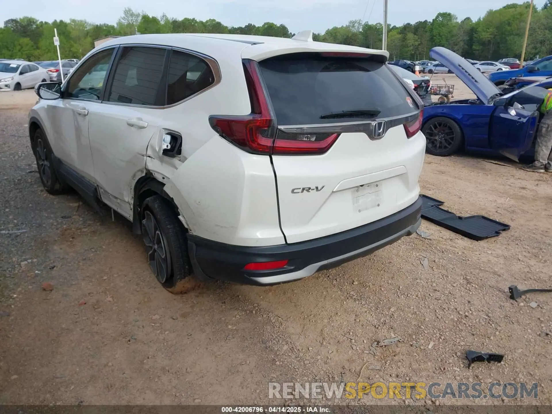 3 Photograph of a damaged car 5J6RW1H59NA011781 HONDA CR-V 2022