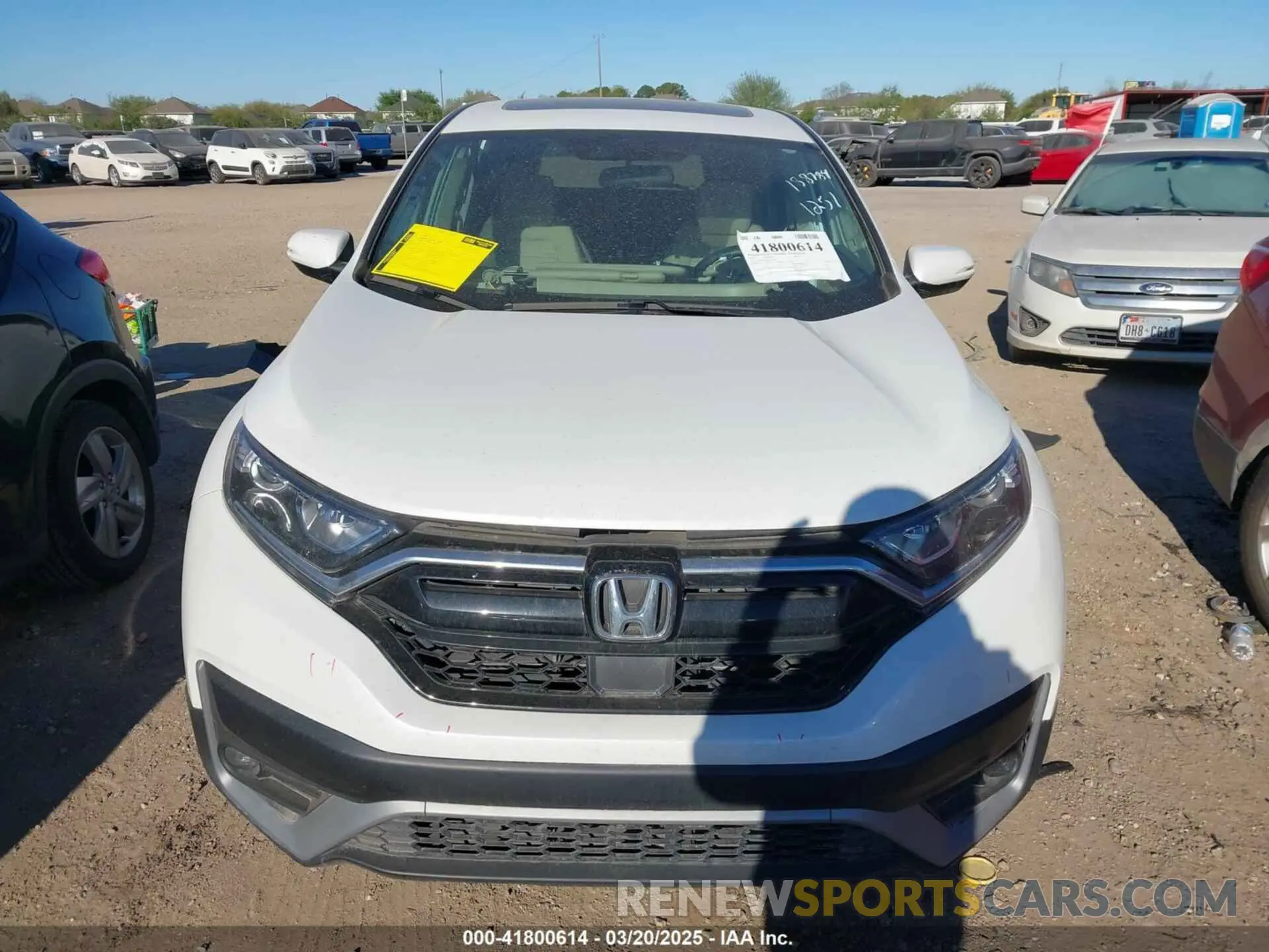 13 Photograph of a damaged car 5J6RW1H59NA016088 HONDA CR-V 2022