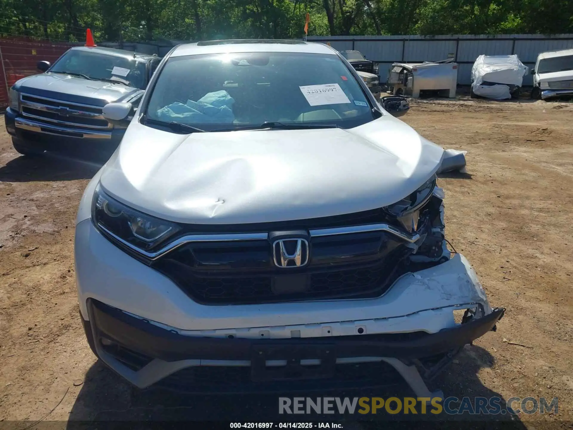 12 Photograph of a damaged car 5J6RW1H82NA004522 HONDA CR-V 2022