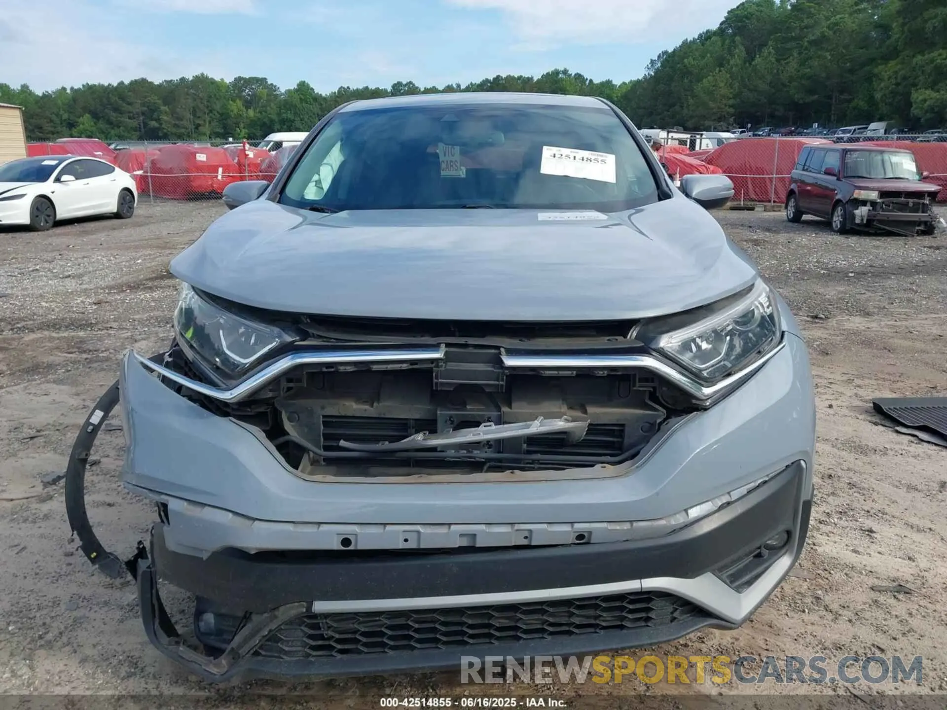 12 Photograph of a damaged car 5J6RW1H84NA002545 HONDA CR-V 2022