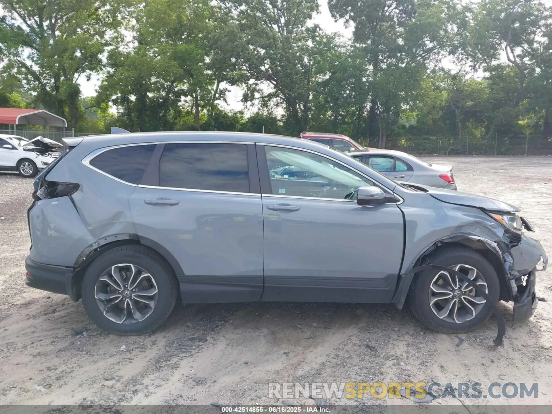 13 Photograph of a damaged car 5J6RW1H84NA002545 HONDA CR-V 2022