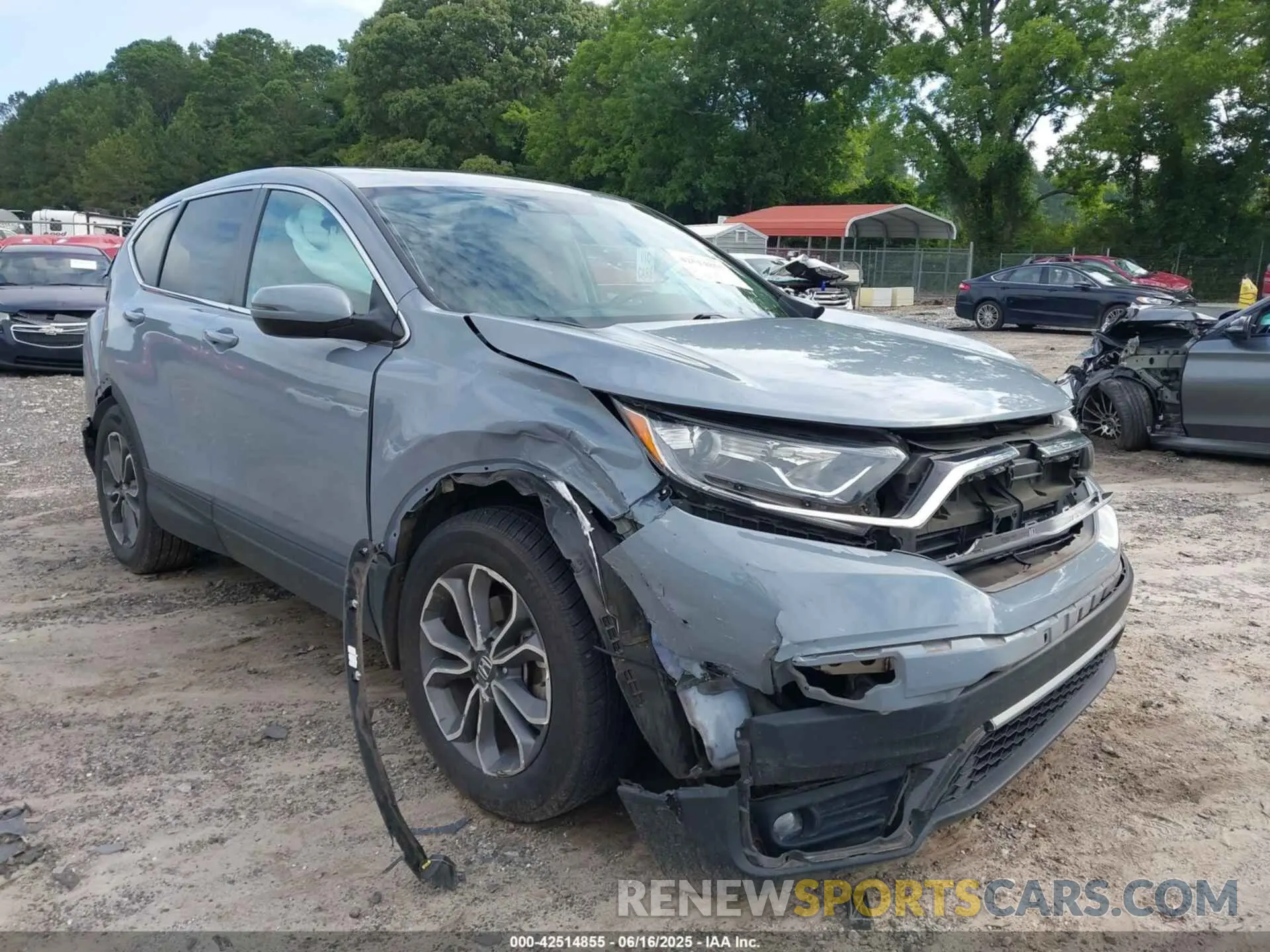 6 Photograph of a damaged car 5J6RW1H84NA002545 HONDA CR-V 2022