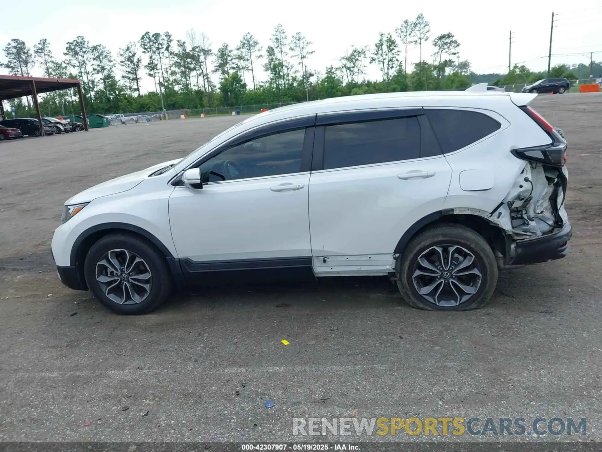 14 Photograph of a damaged car 5J6RW1H8XNA008592 HONDA CR-V 2022