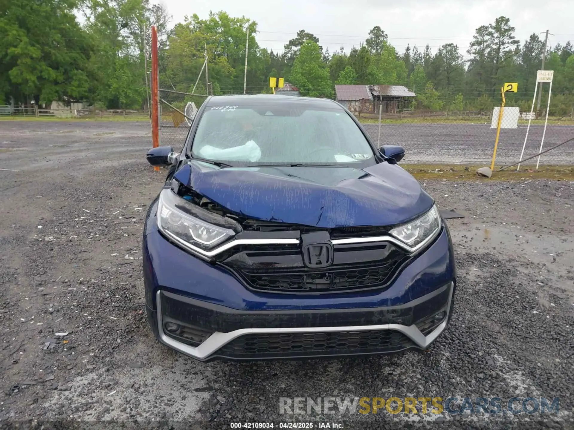12 Photograph of a damaged car 5J6RW2H54NA006347 HONDA CR-V 2022
