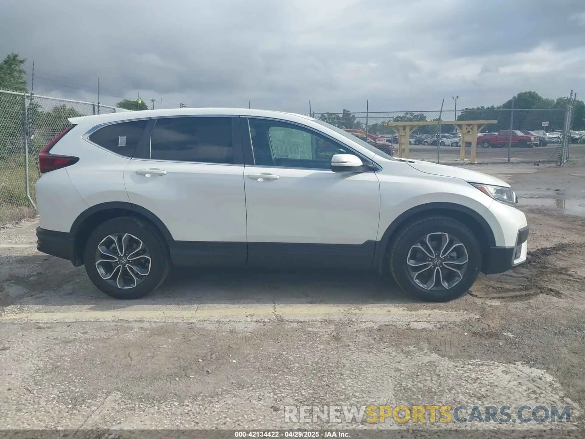 13 Photograph of a damaged car 5J6RW2H54NA016635 HONDA CR-V 2022