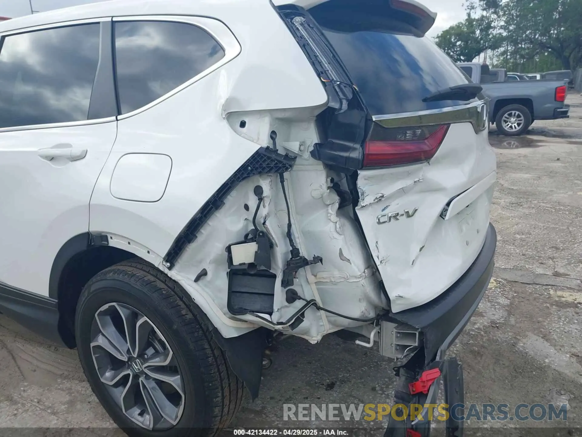 6 Photograph of a damaged car 5J6RW2H54NA016635 HONDA CR-V 2022
