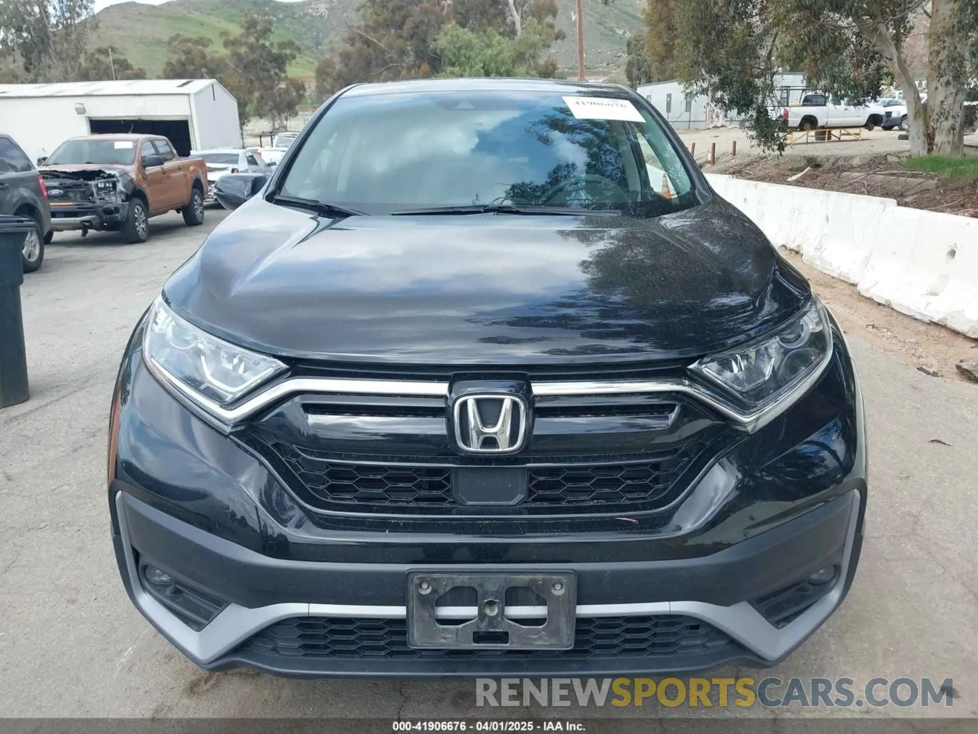 12 Photograph of a damaged car 5J6RW2H56NA011050 HONDA CR-V 2022