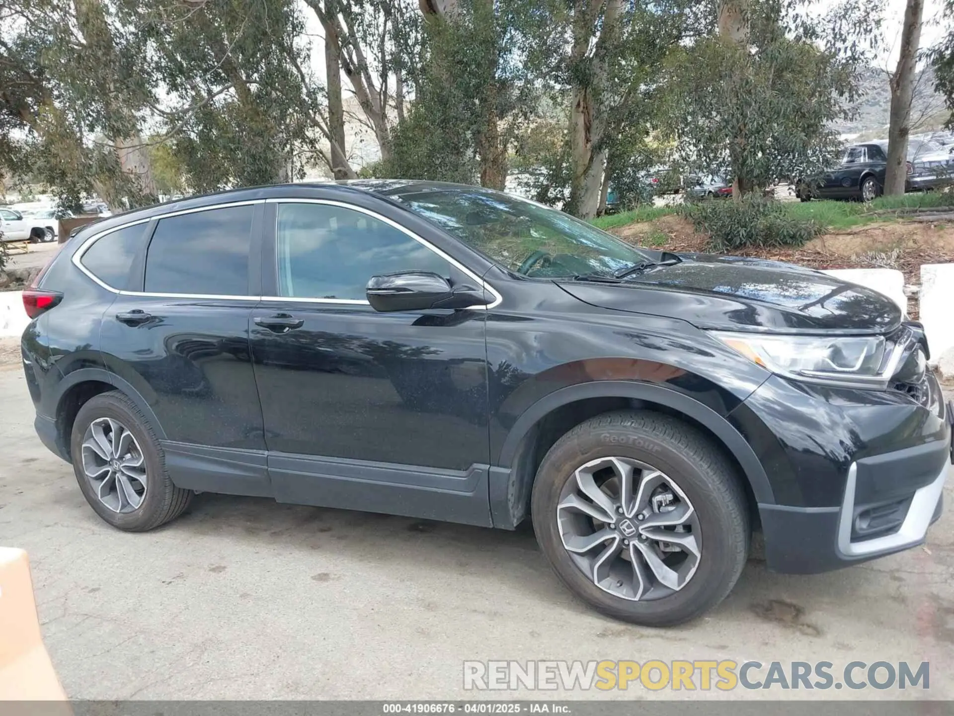 13 Photograph of a damaged car 5J6RW2H56NA011050 HONDA CR-V 2022