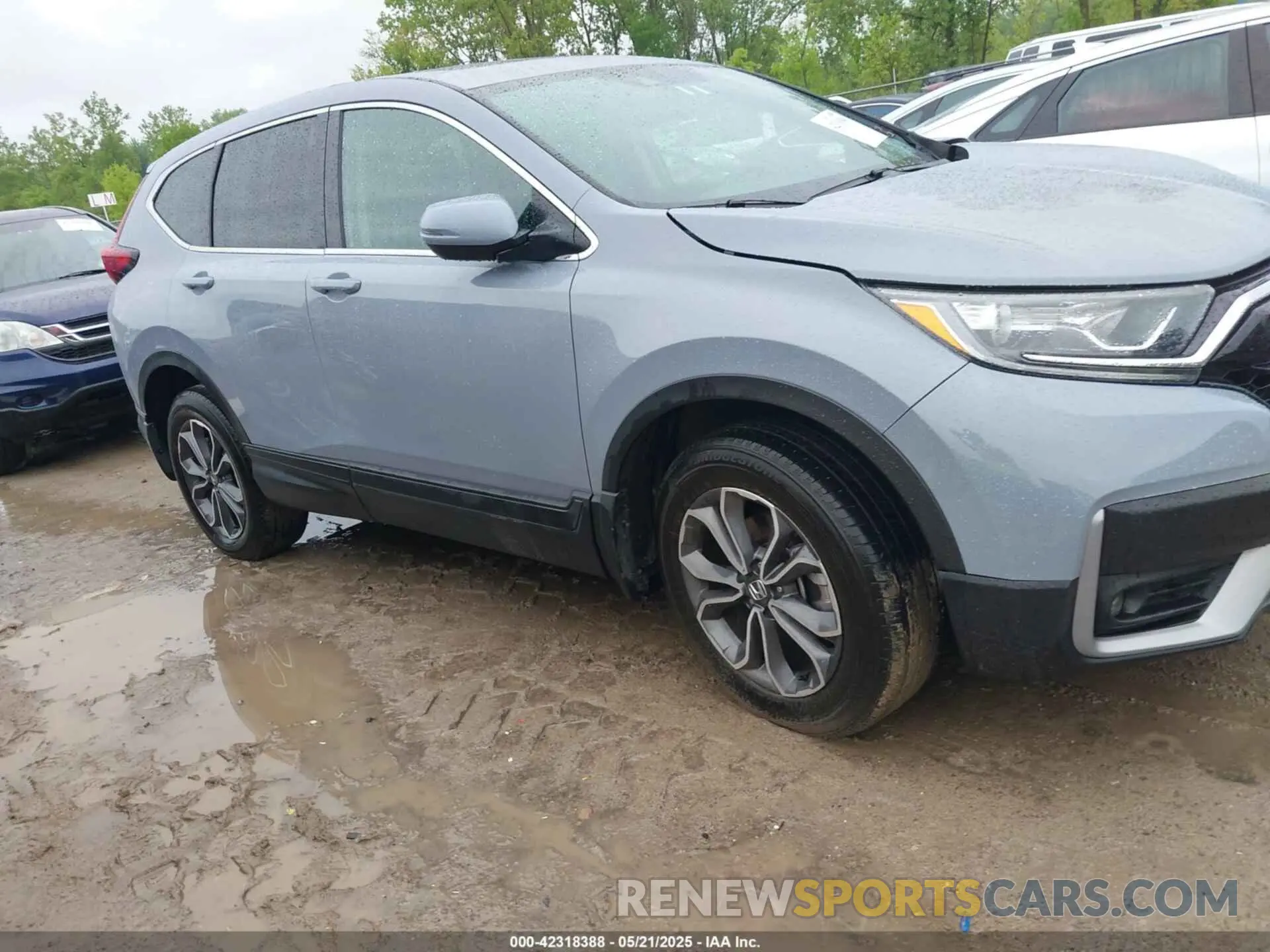 12 Photograph of a damaged car 5J6RW2H8XNA009456 HONDA CR-V 2022